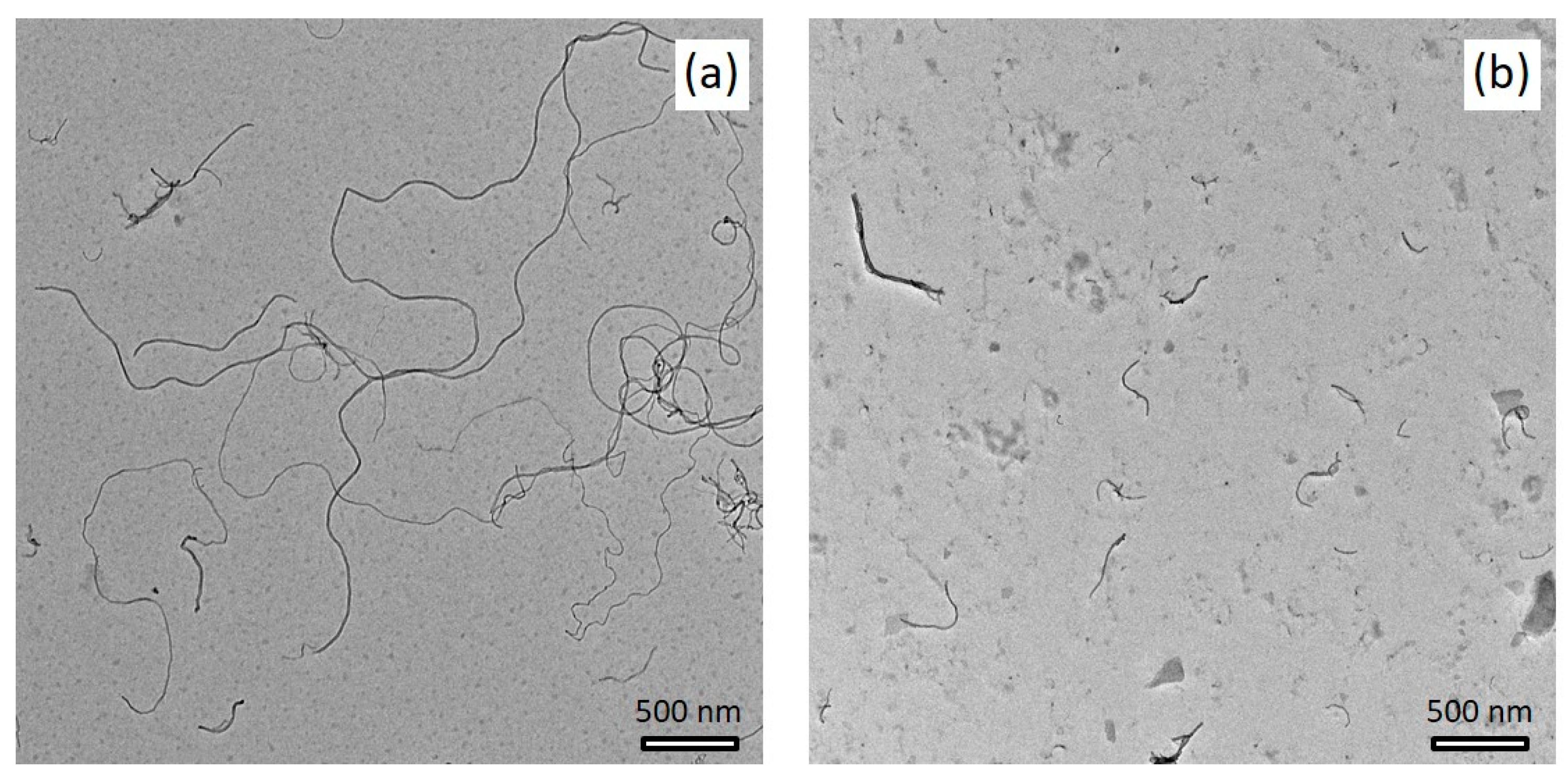 Polymers 14 02715 g002 Polymers 14 02715 g002