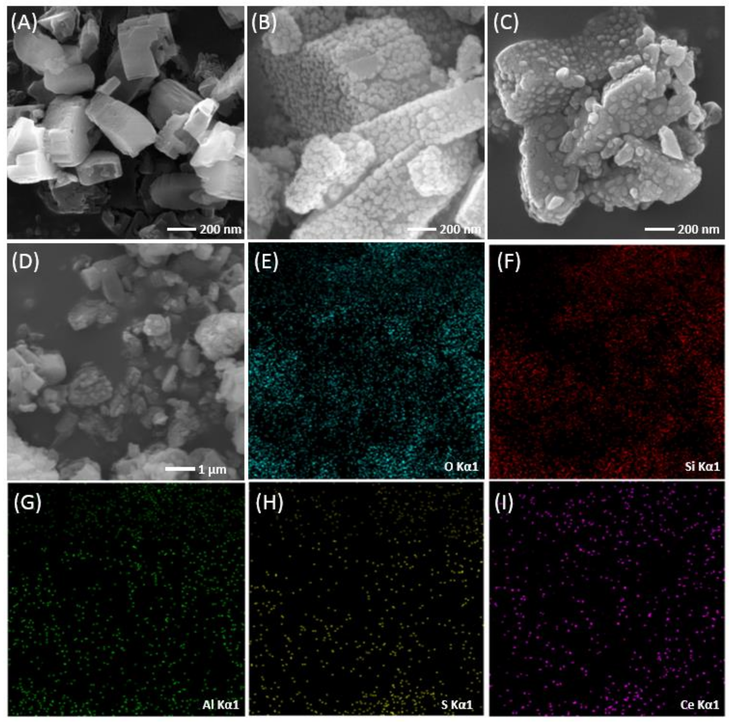 Polymers 14 02717 g001
