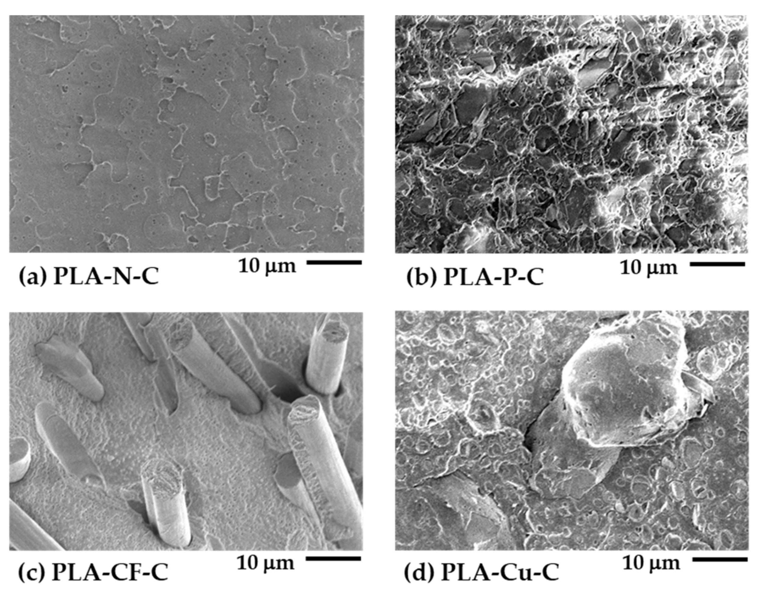 Polymers 14 02721 g003 550