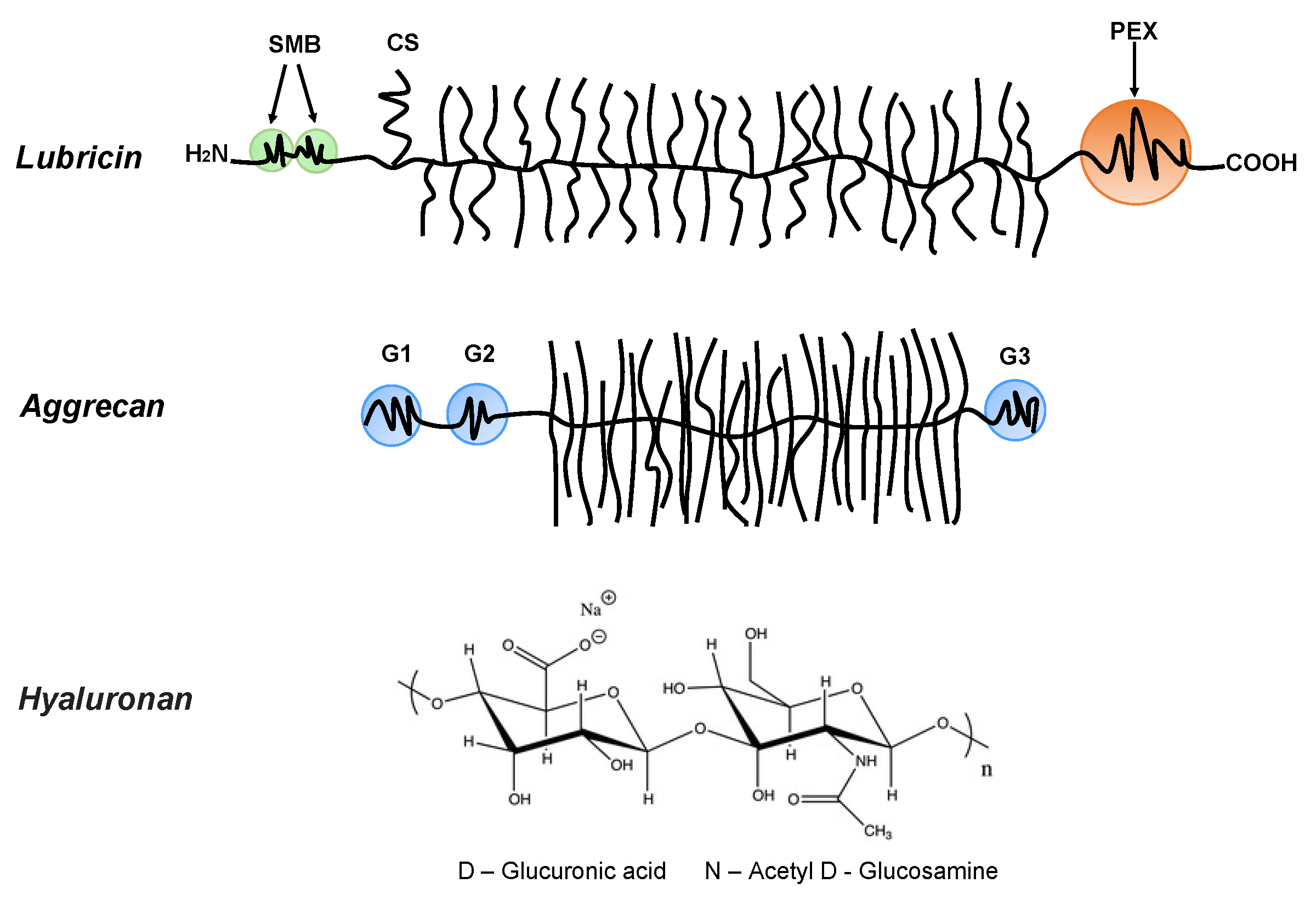 Polymers 14 02724 g001