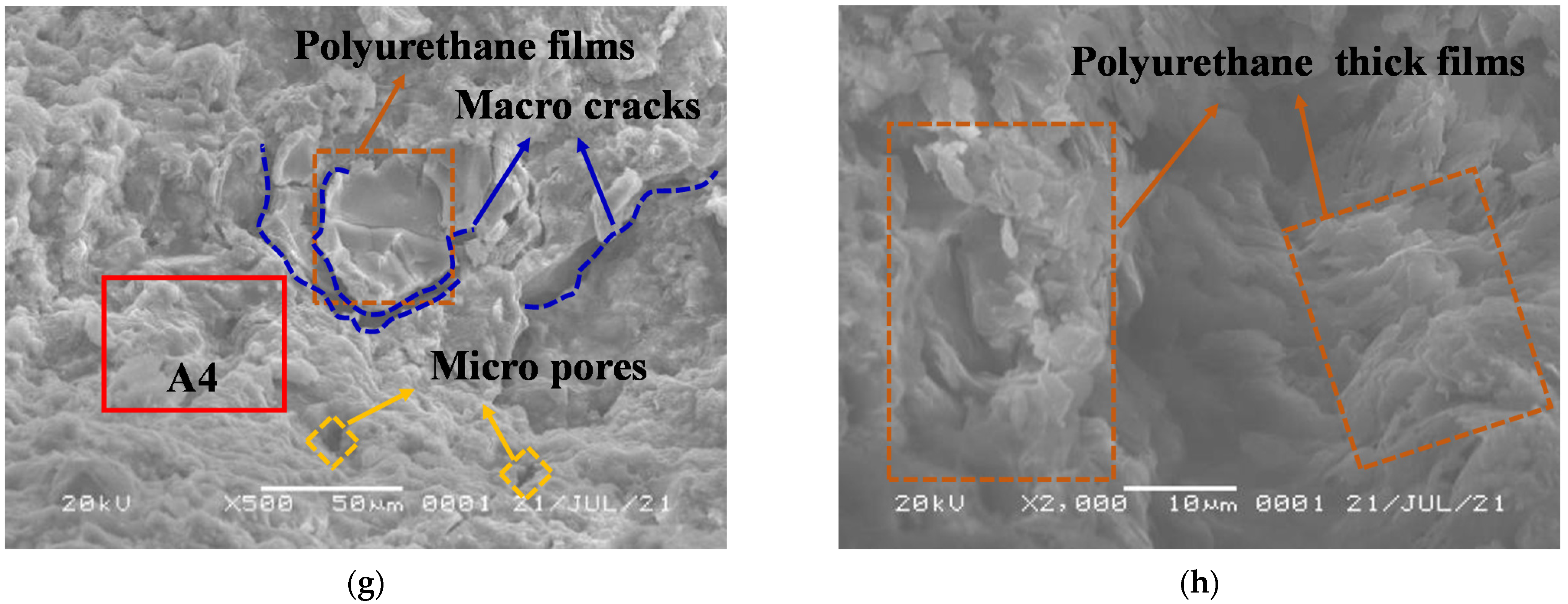 Polymers 14 02725 g012b