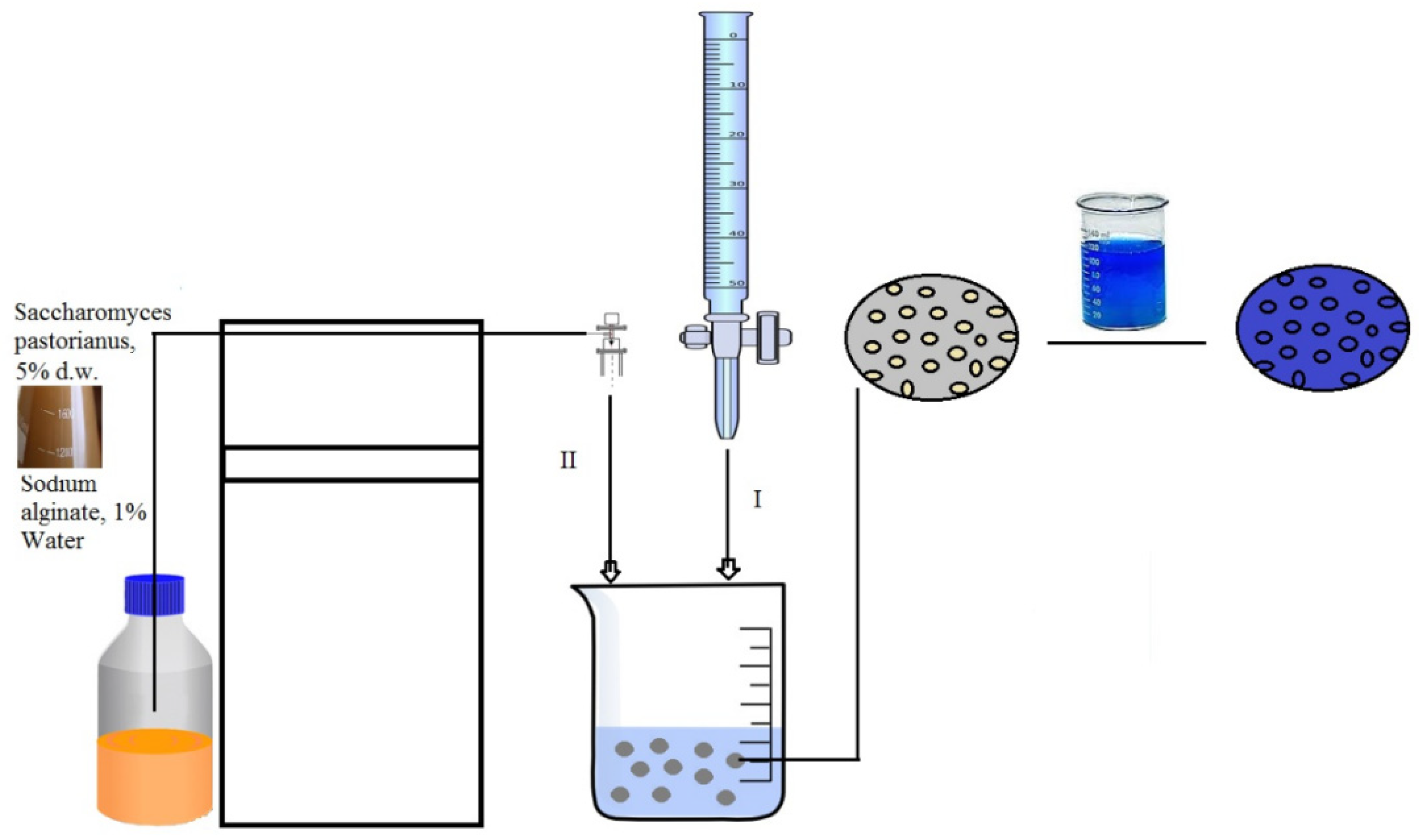 Polymers 14 02728 g001