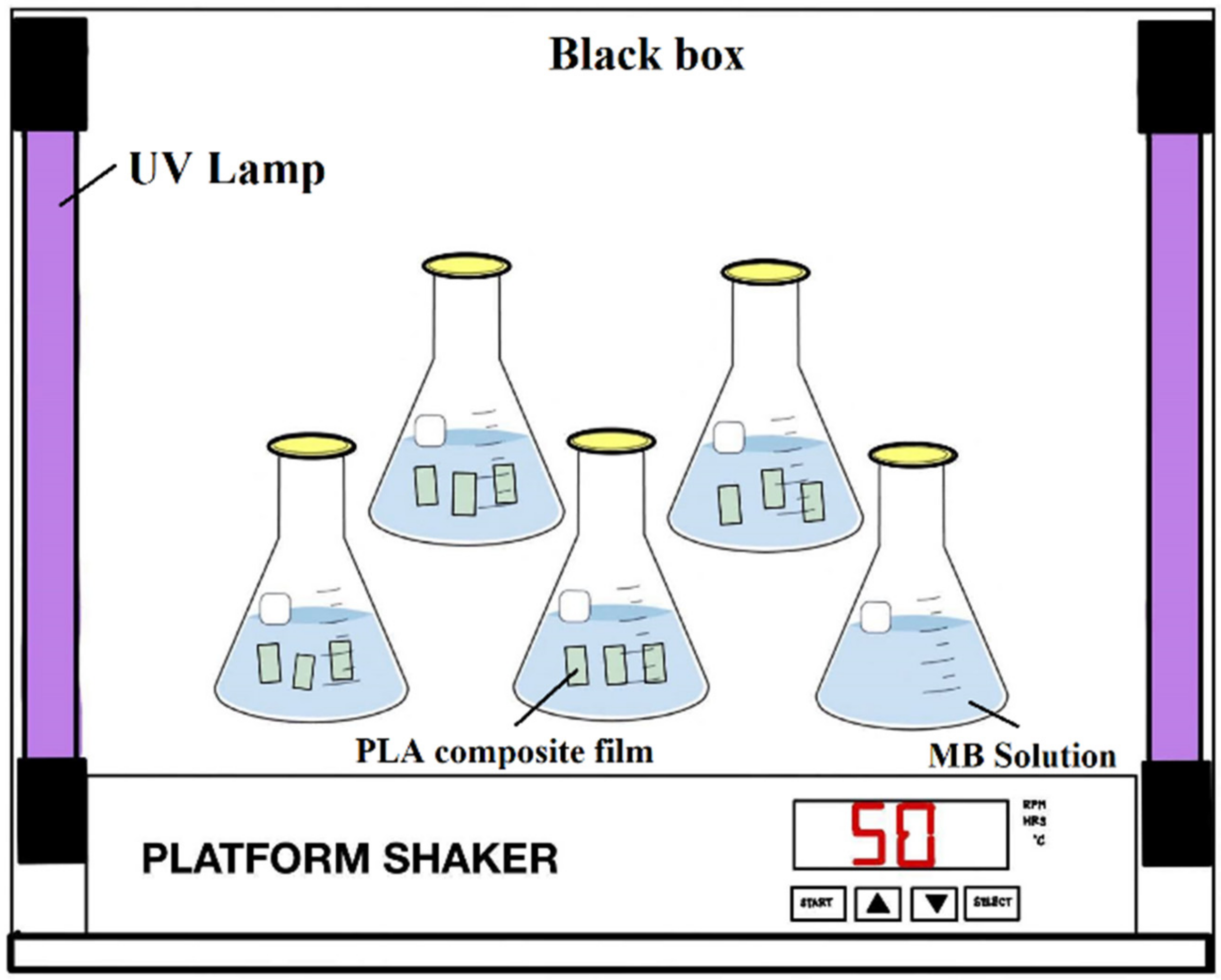 Polymers 14 02729 g002
