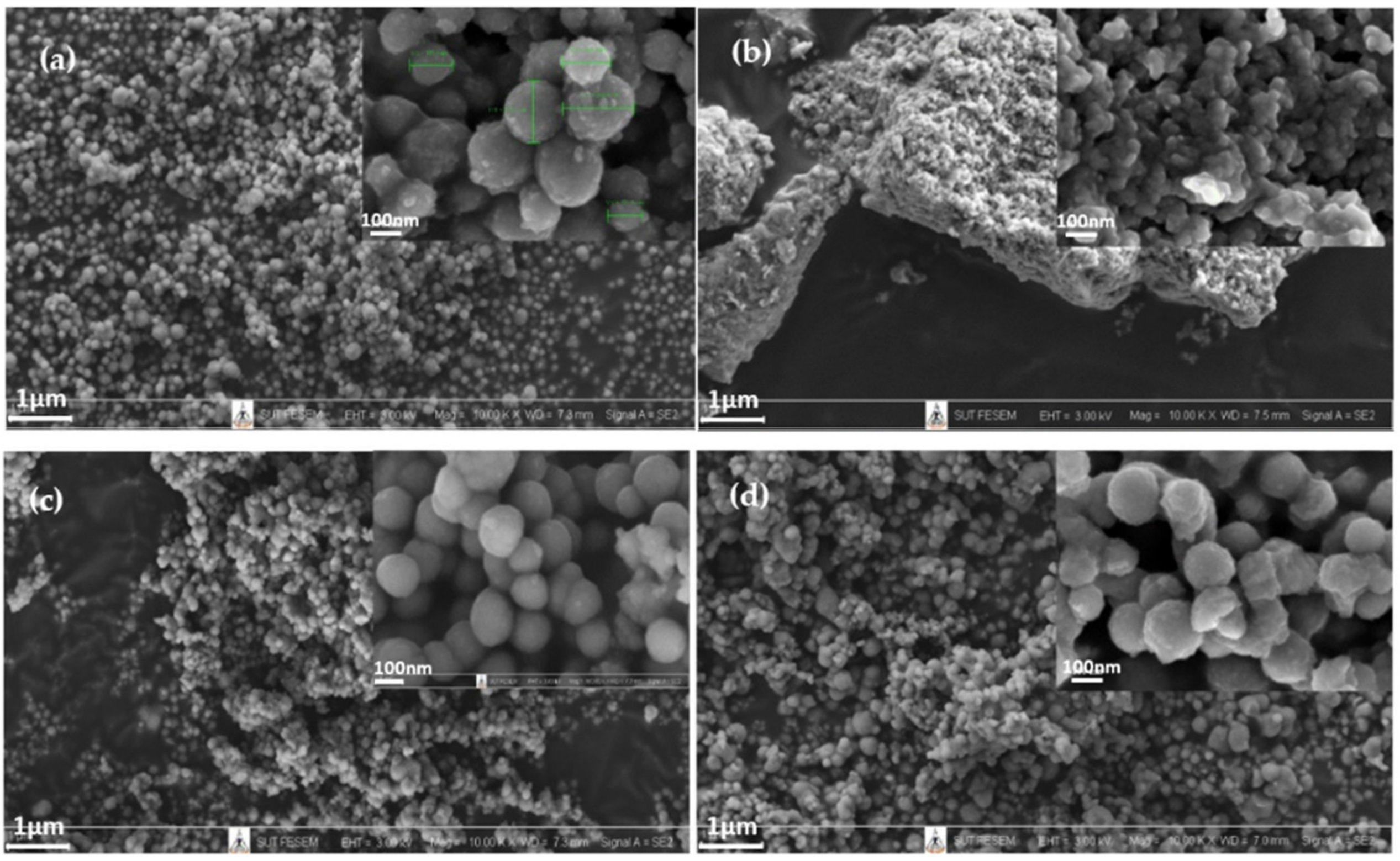 Polymers 14 02729 g008