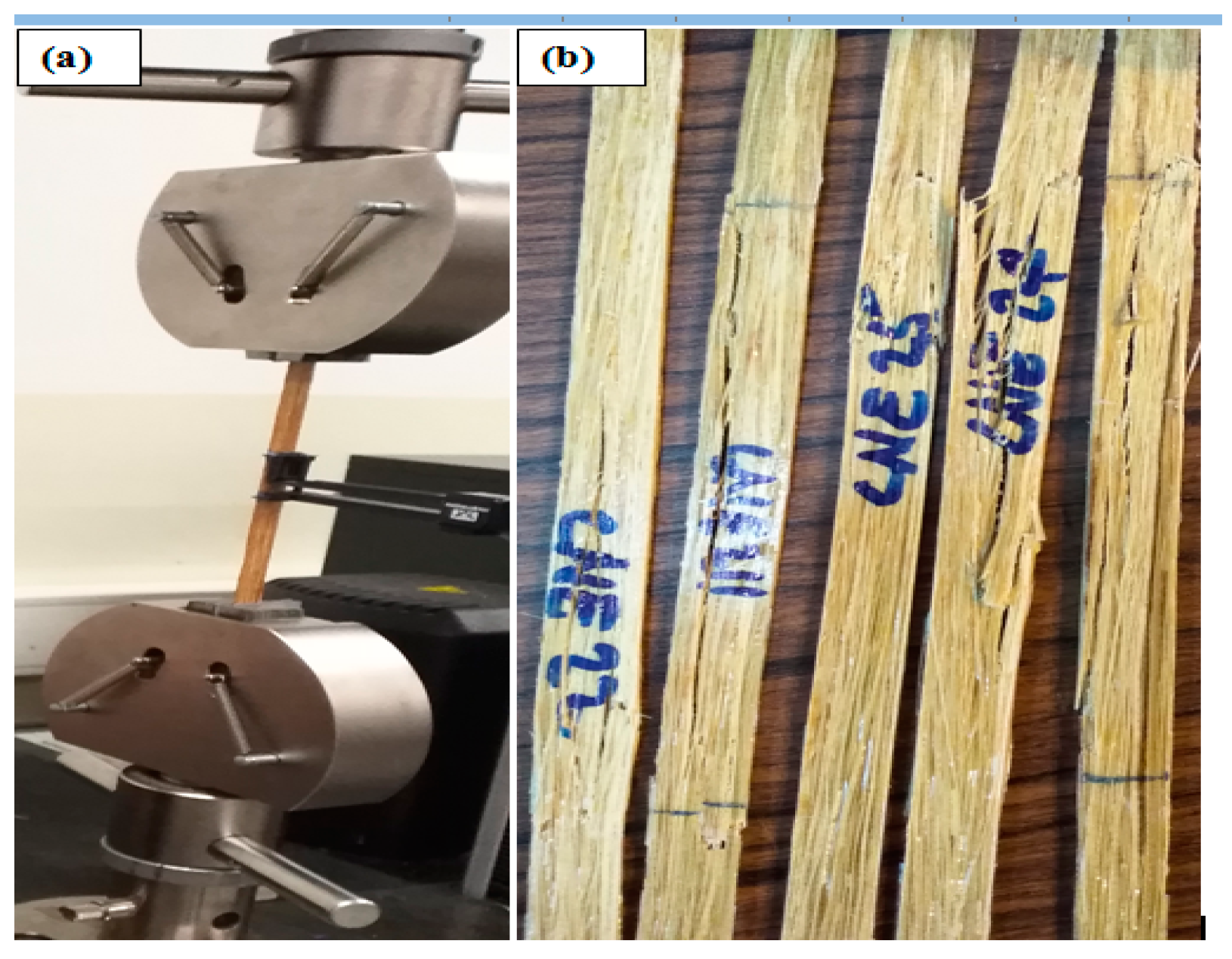 Polymers 14 02733 g004 550