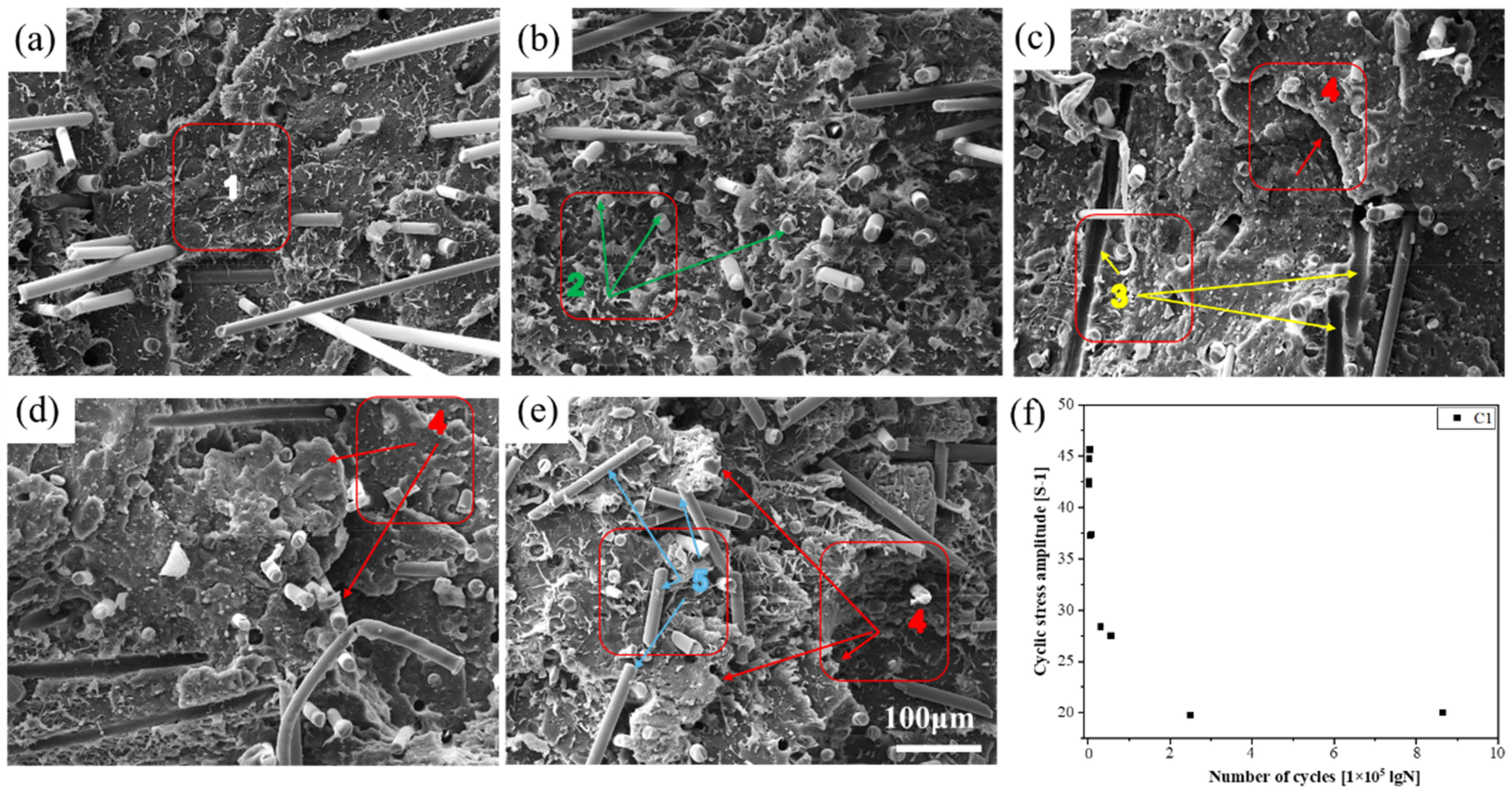 Polymers 14 02734 g009