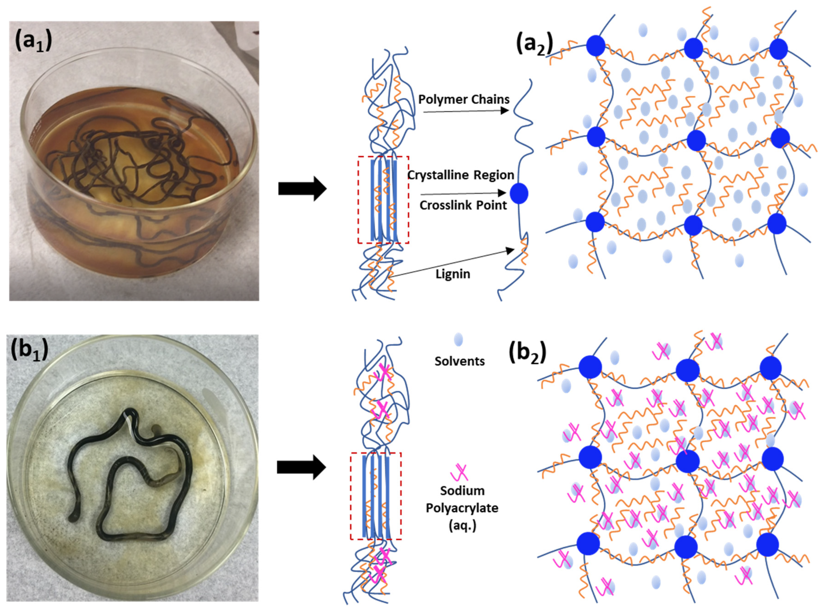 Polymers 14 02736 g003 Polymers 14 02736 g003
