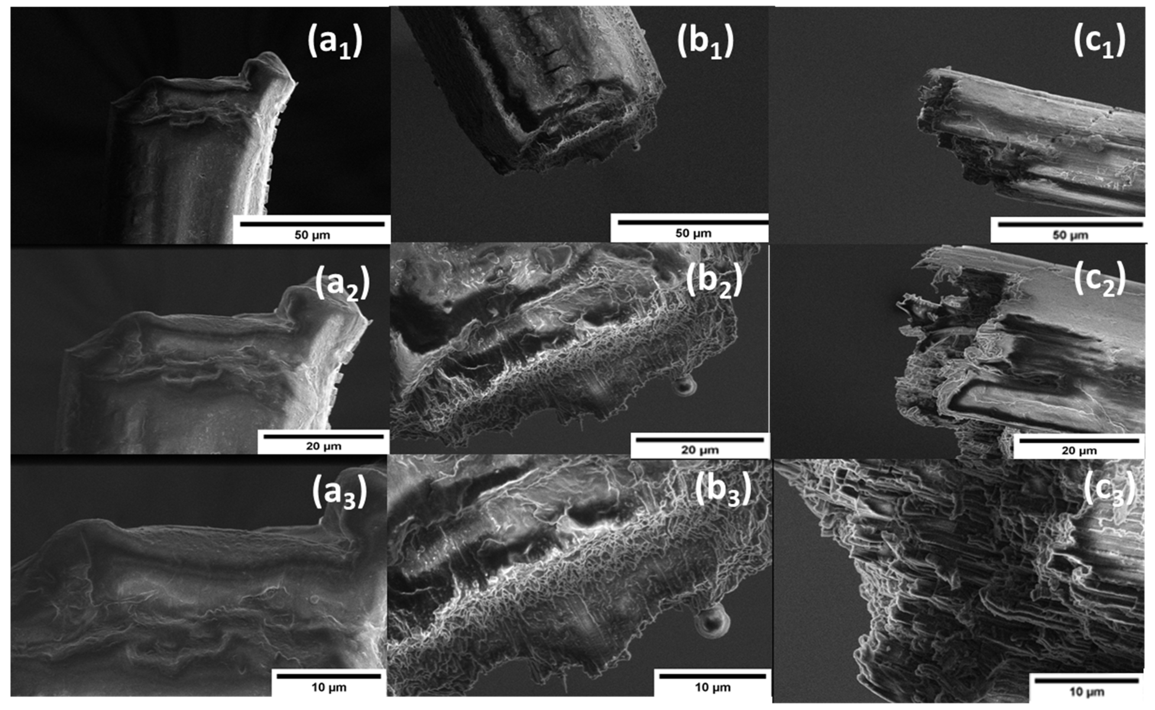 Polymers 14 02736 g007 Polymers 14 02736 g007
