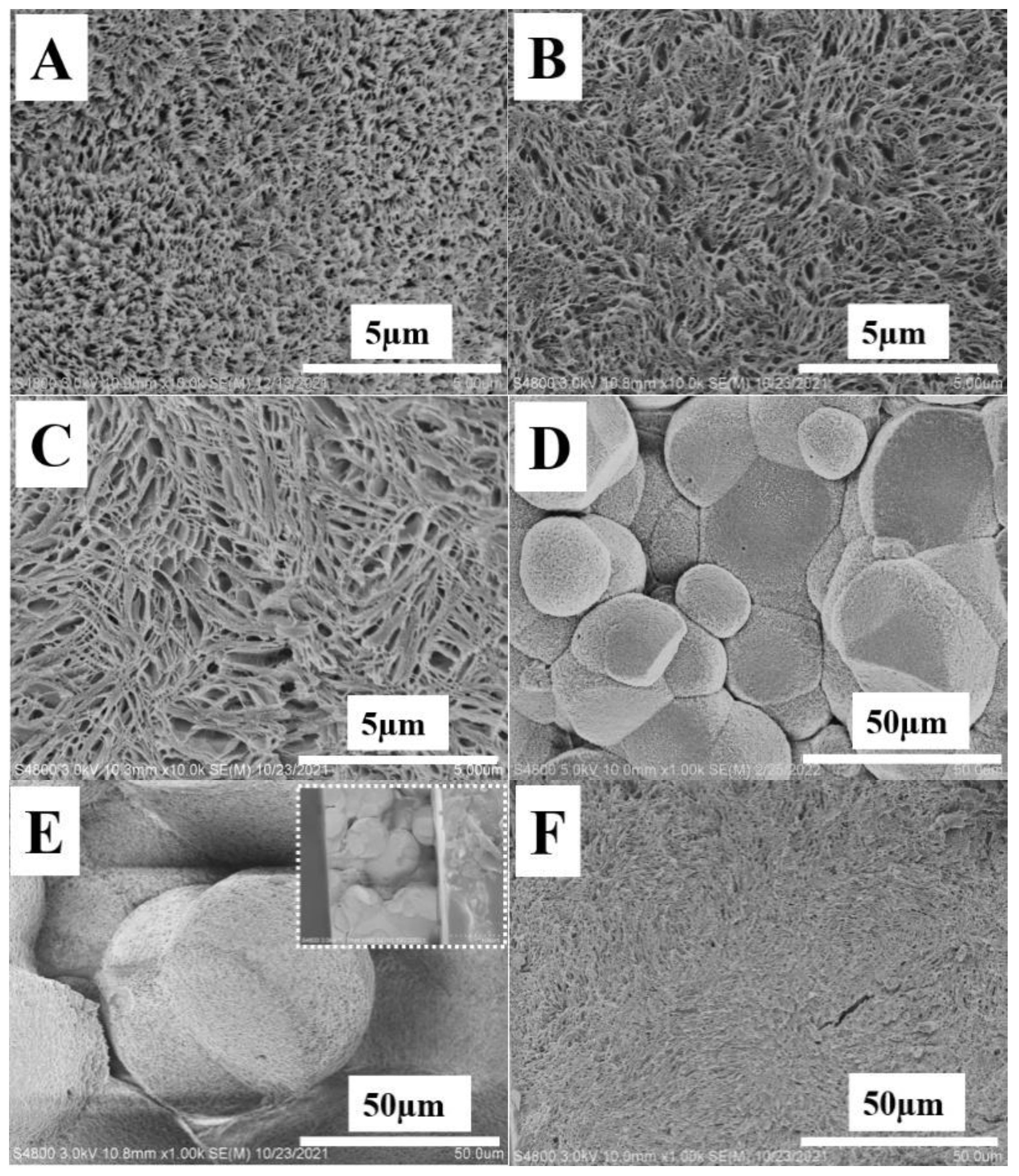 Polymers 14 02737 g004 550