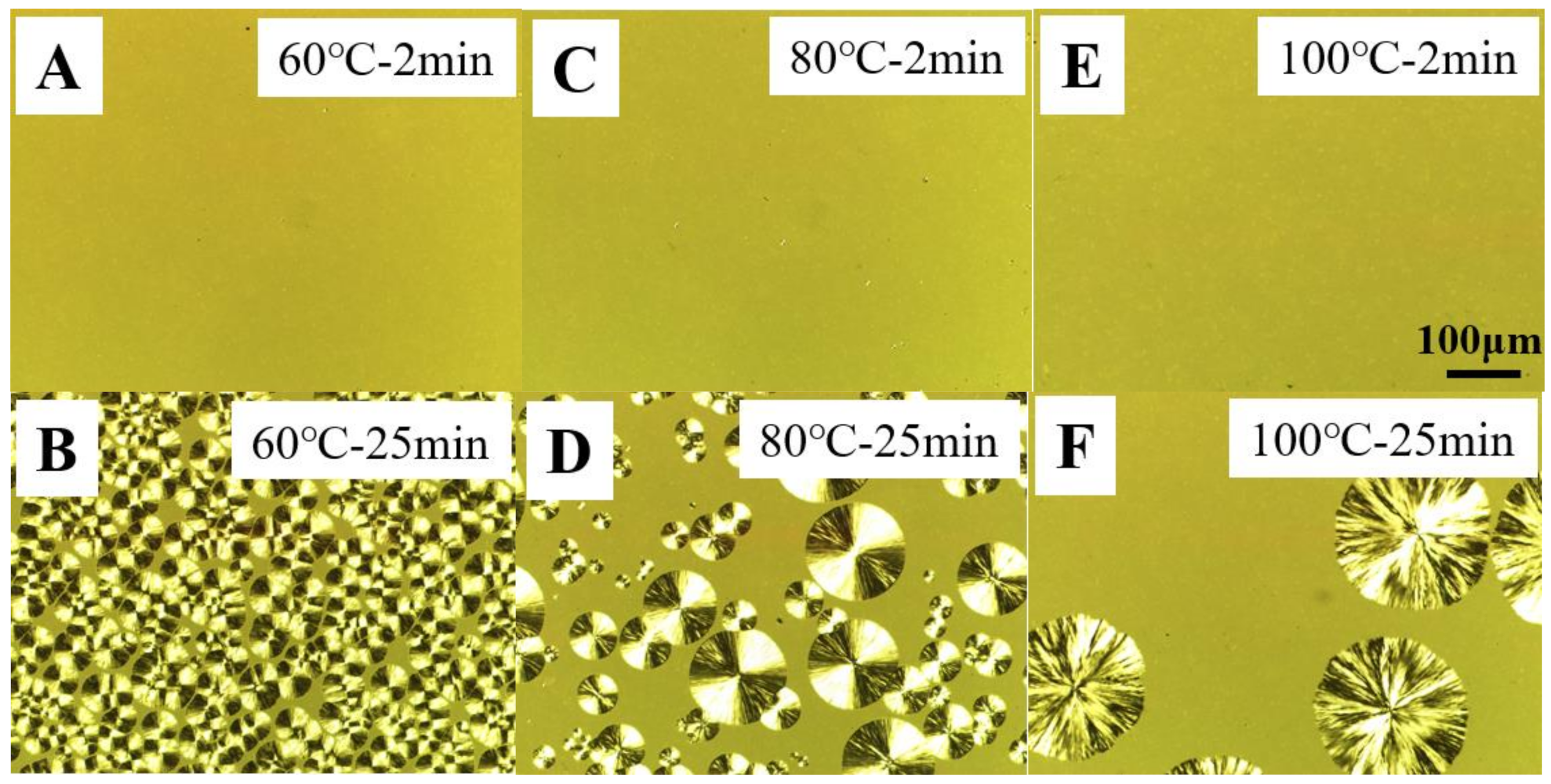 Polymers 14 02737 g005 550