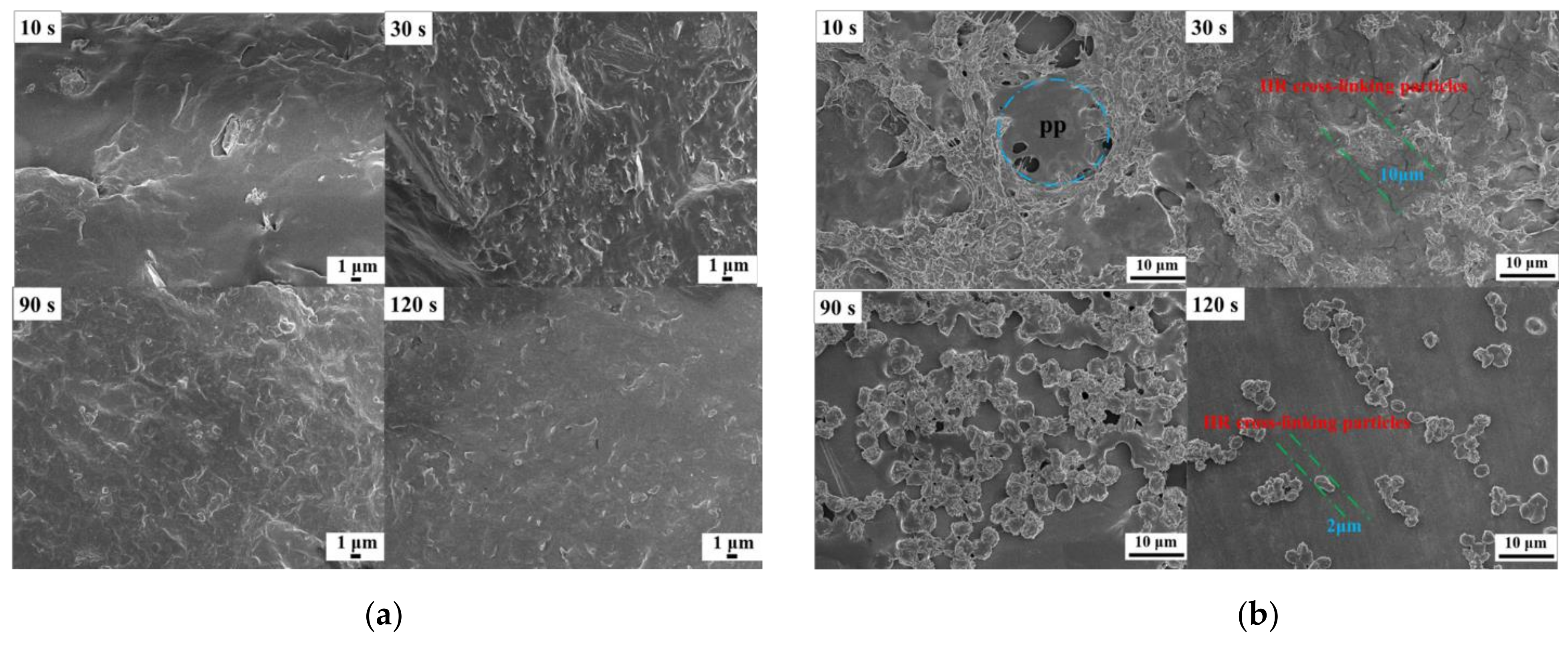Polymers 14 02740 g003
