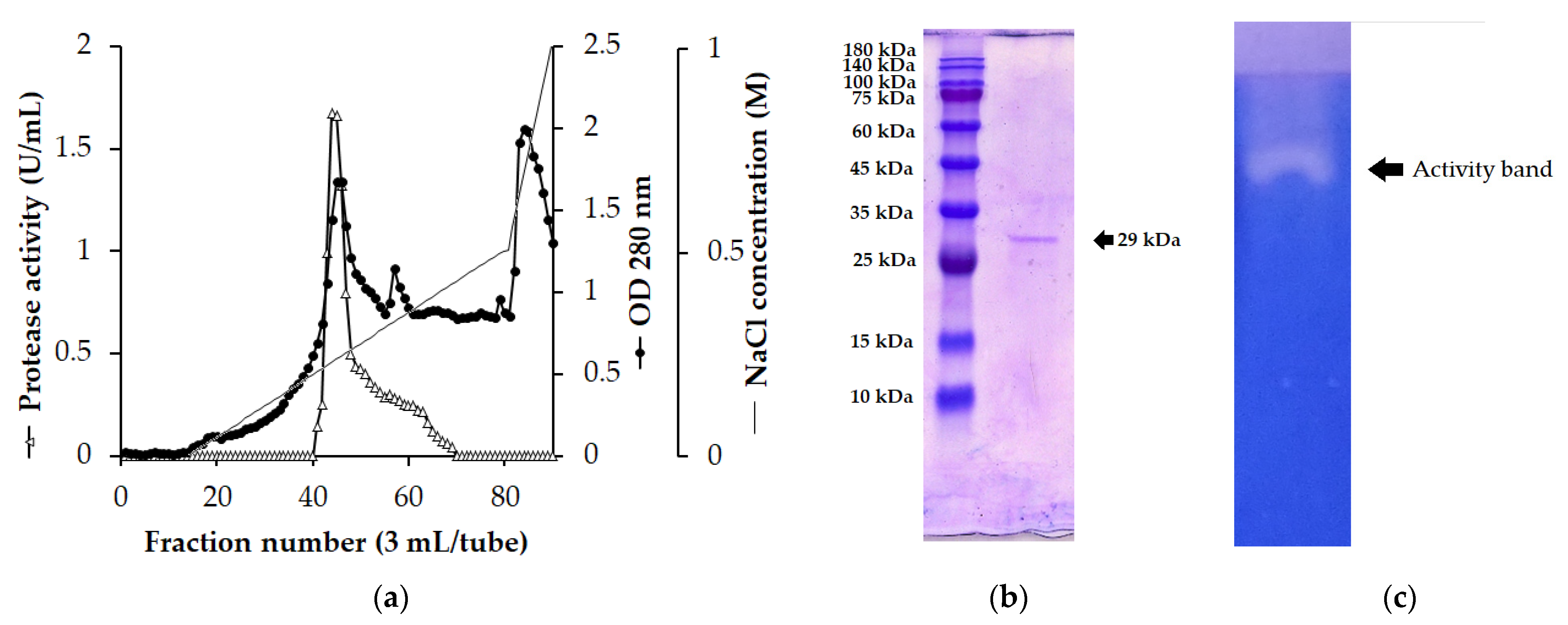 Polymers 14 02741 g002 550