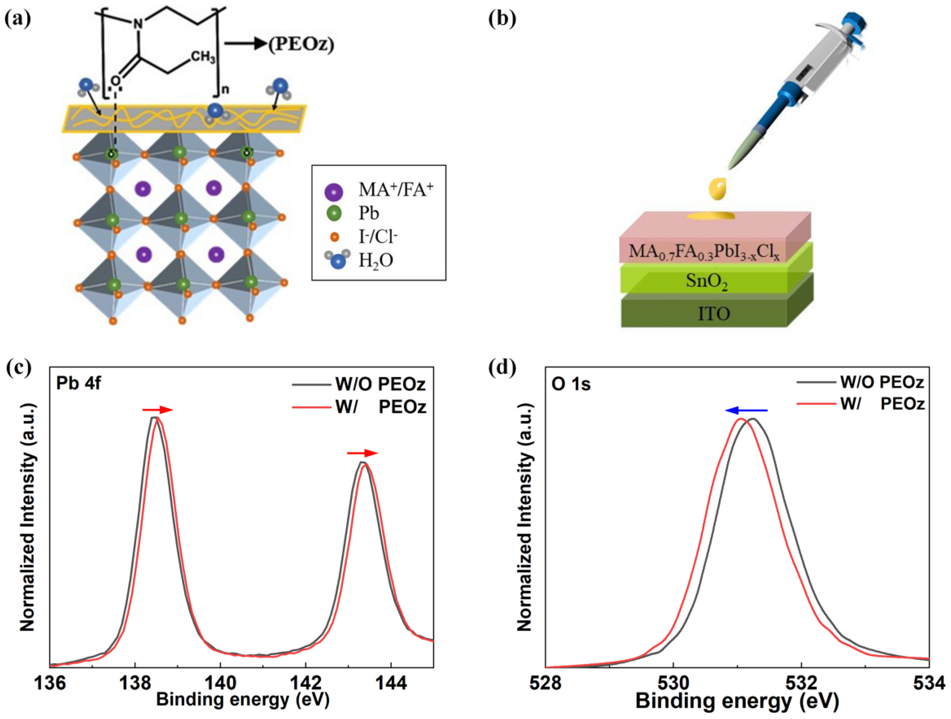 Polymers 14 02748 g001