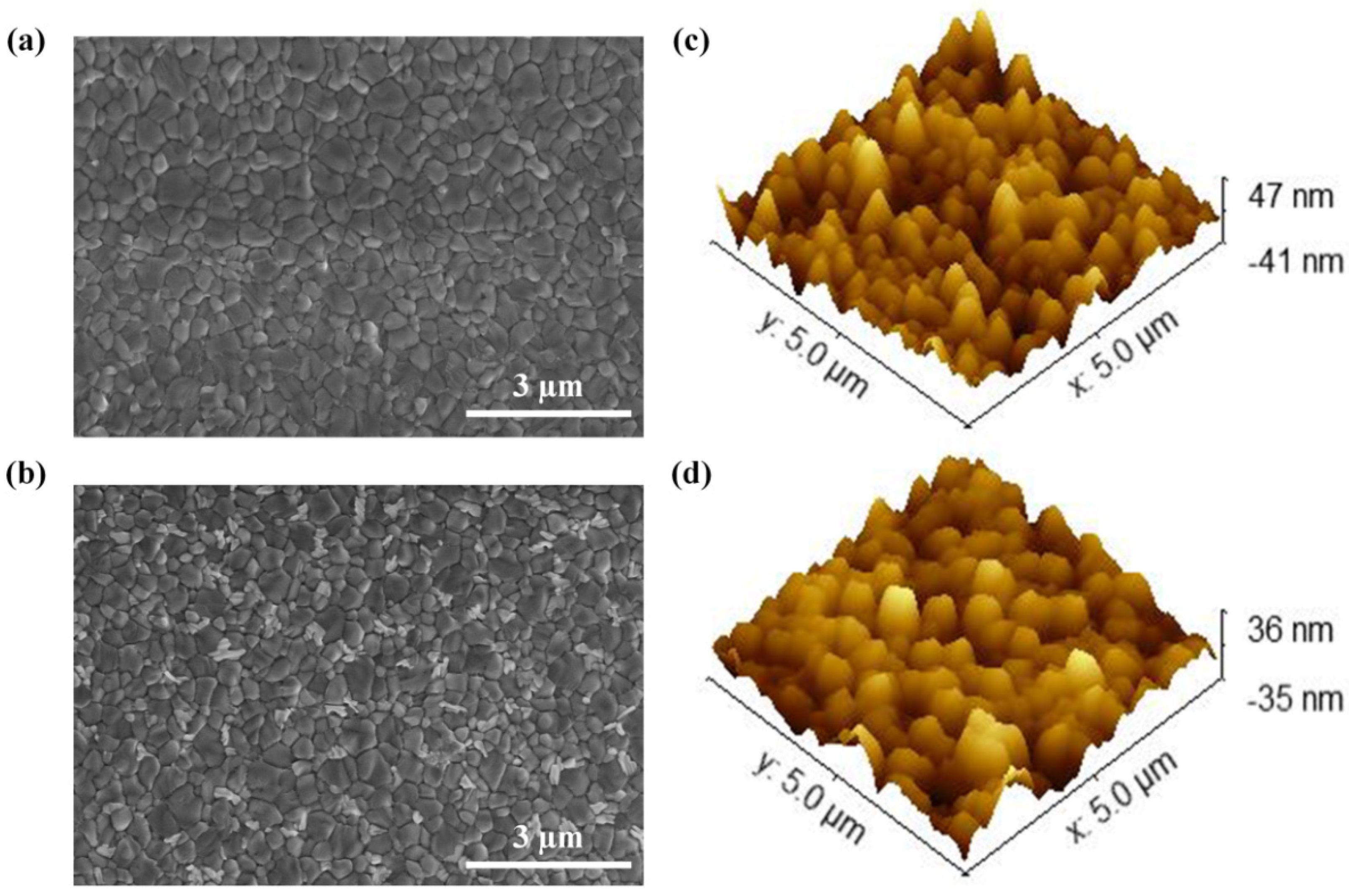 Polymers 14 02748 g002