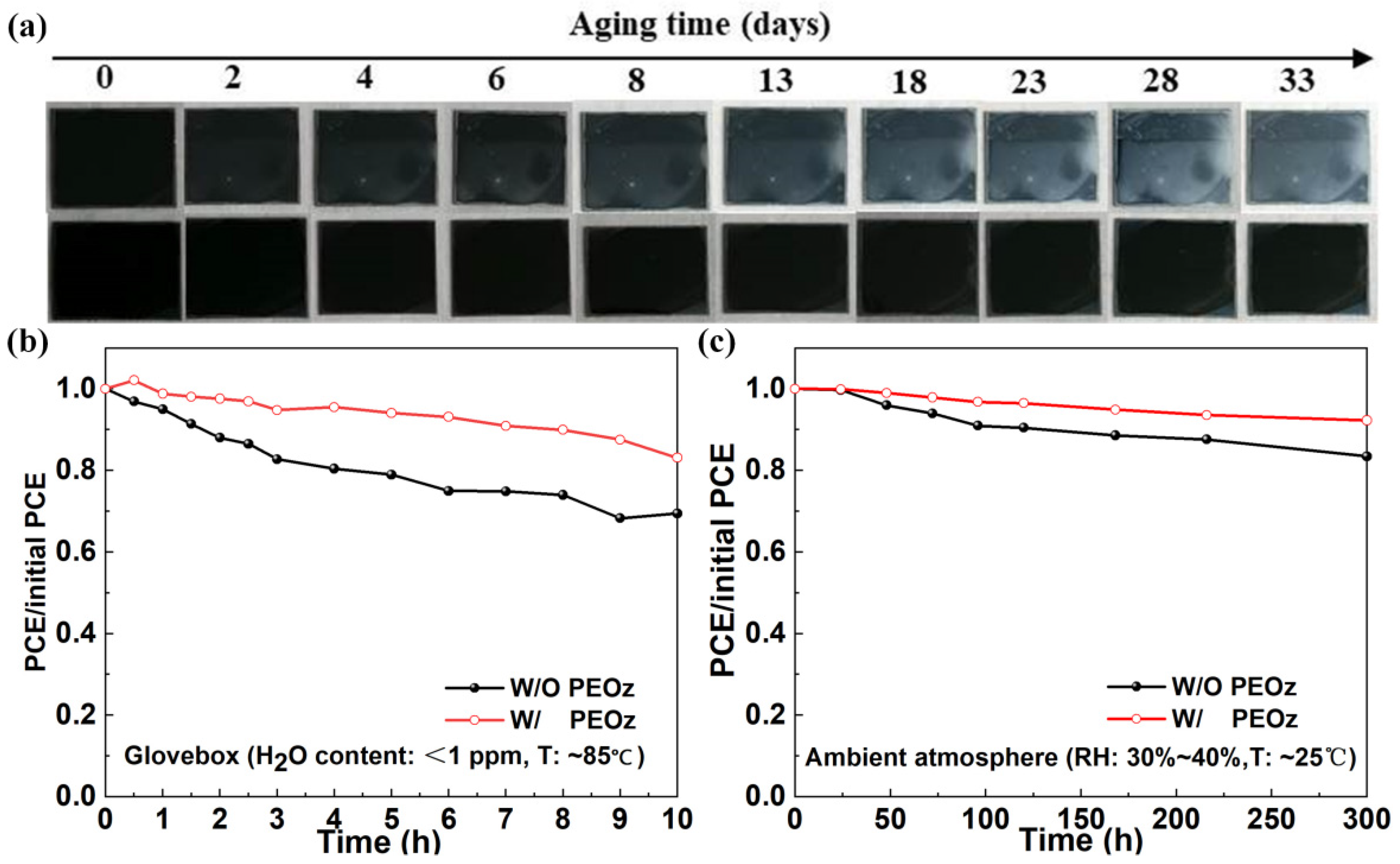 Polymers 14 02748 g007