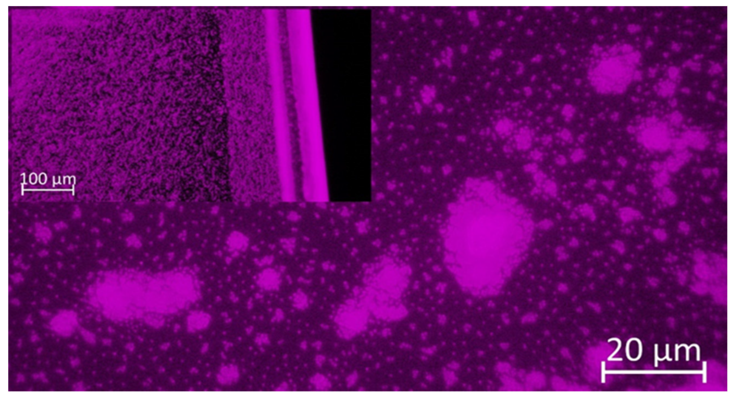 Polymers 14 02750 g001