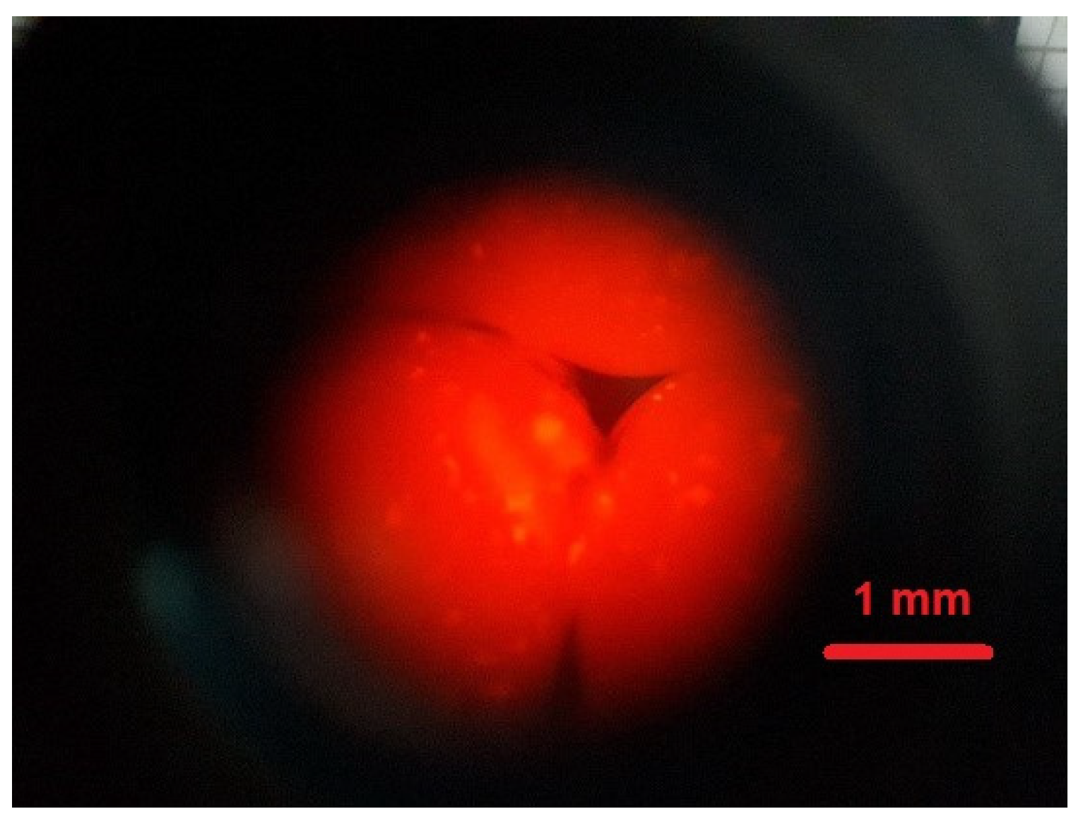Polymers 14 02750 g009