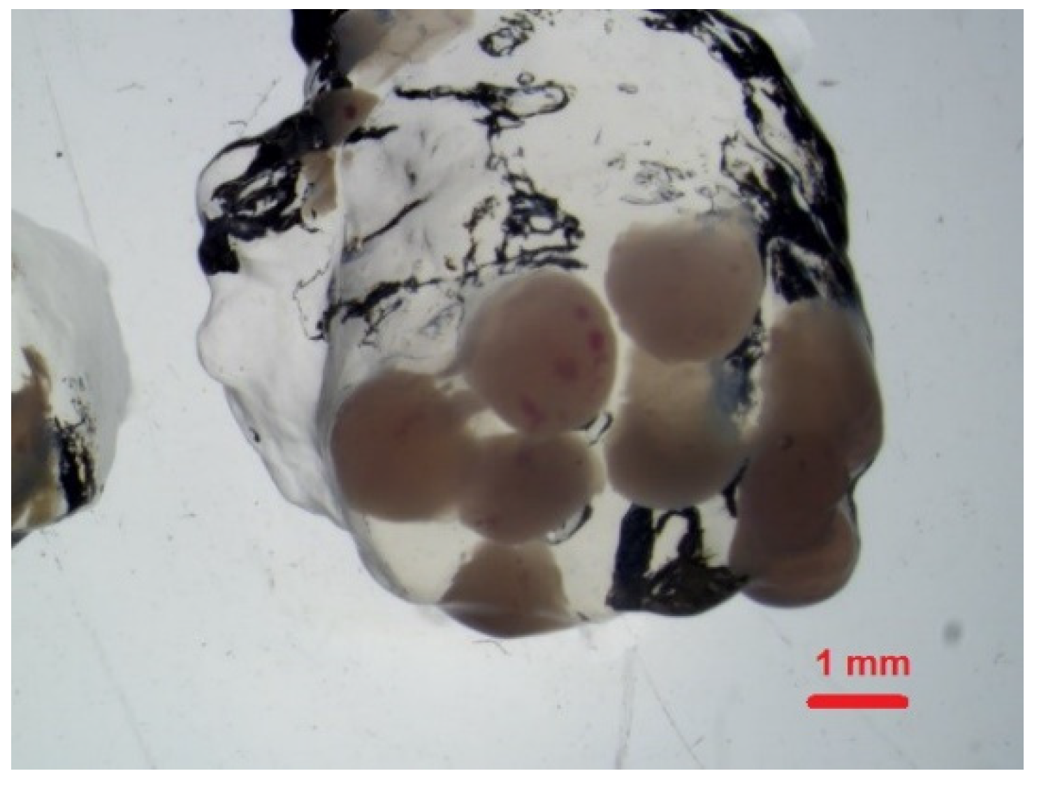 Polymers 14 02750 g010