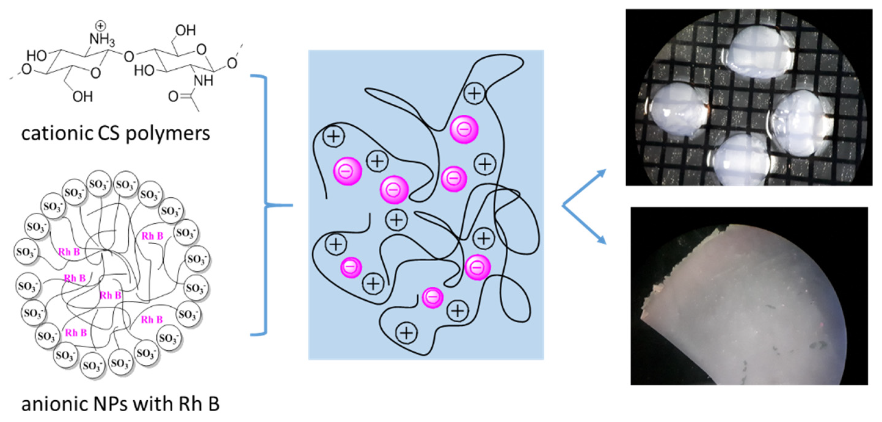 Polymers 14 02750 g012