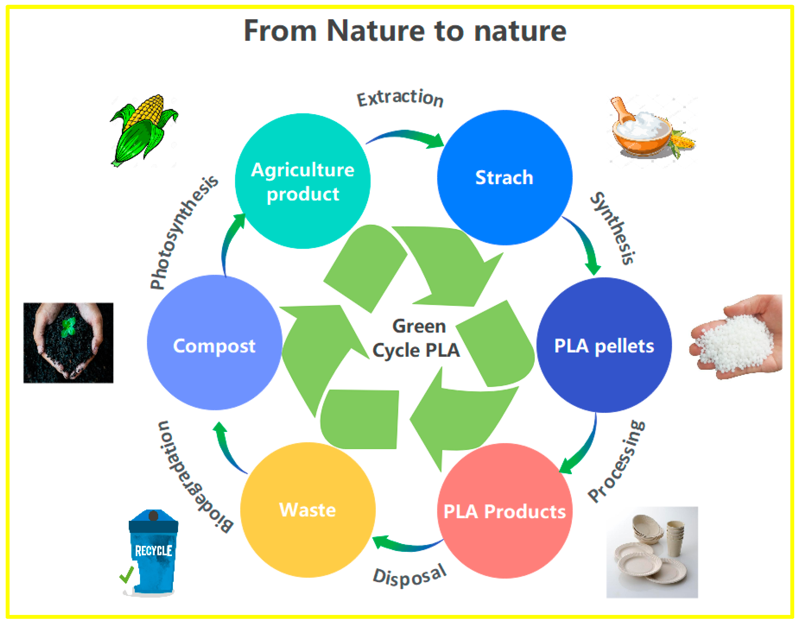 Polymers 14 02752 g004