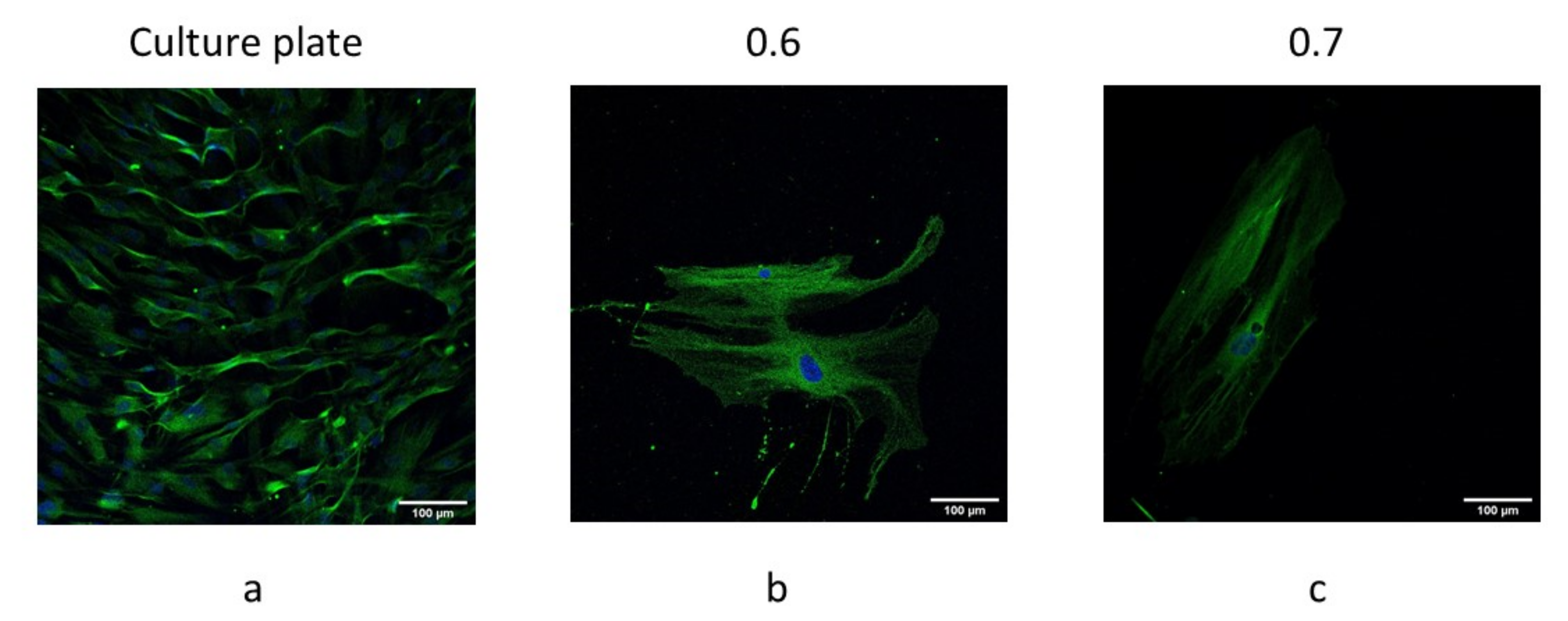 Polymers 14 02754 g007