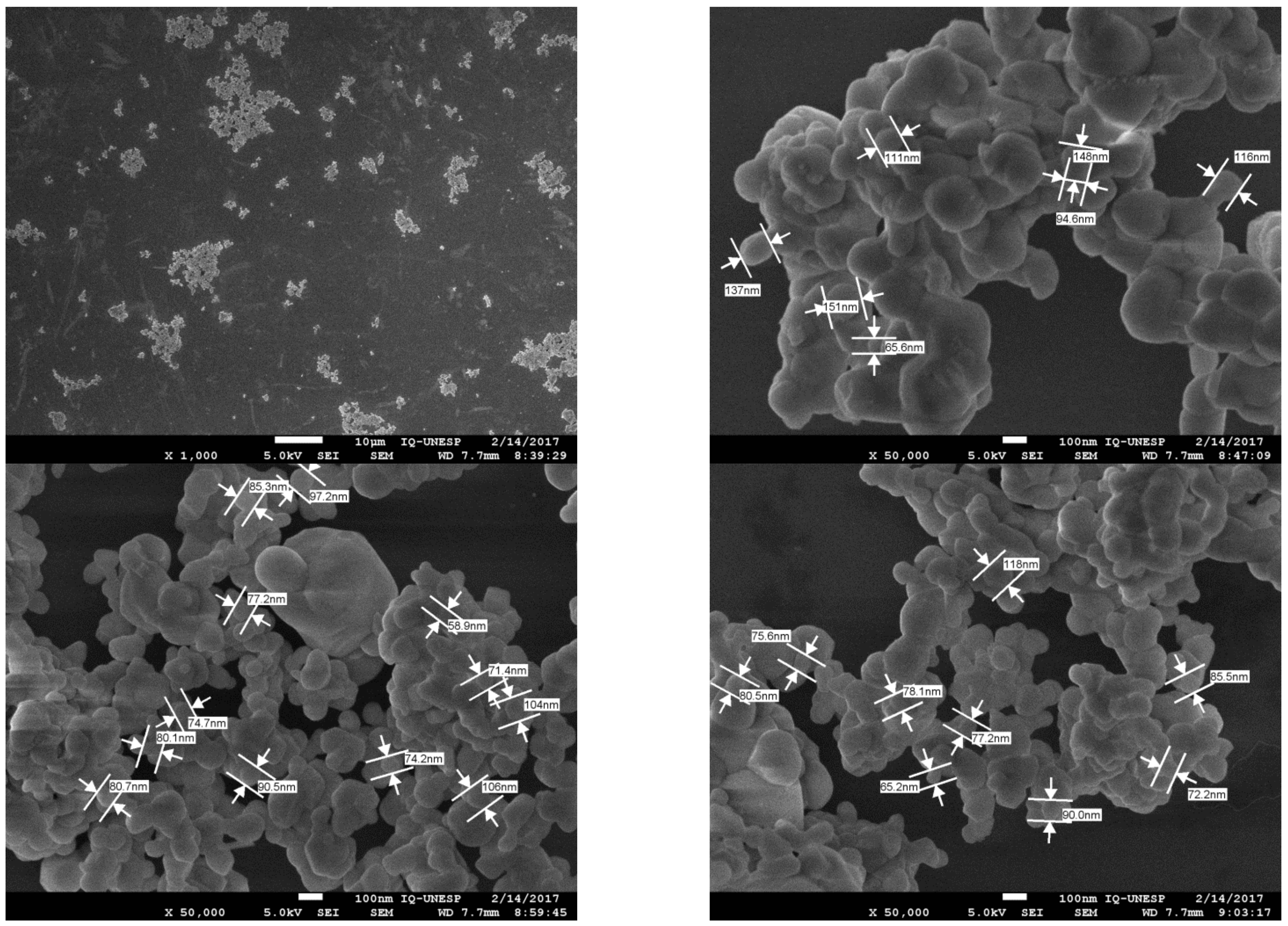Polymers 14 02755 g005