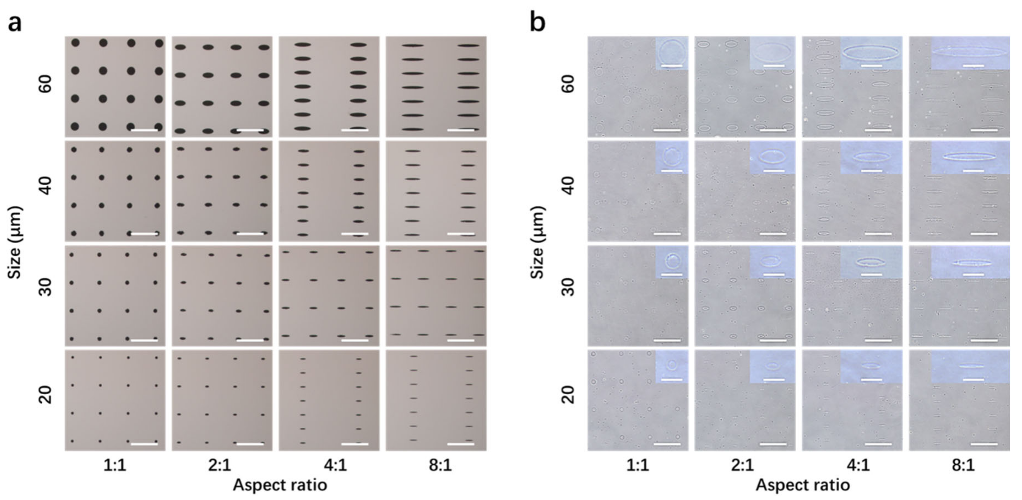 Polymers 14 02761 g001