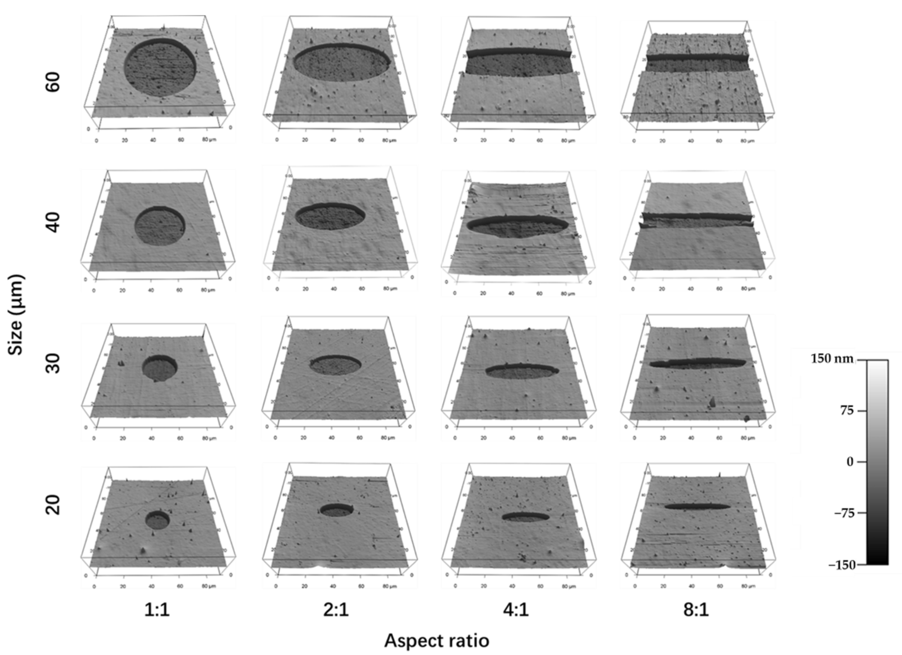 Polymers 14 02761 g002