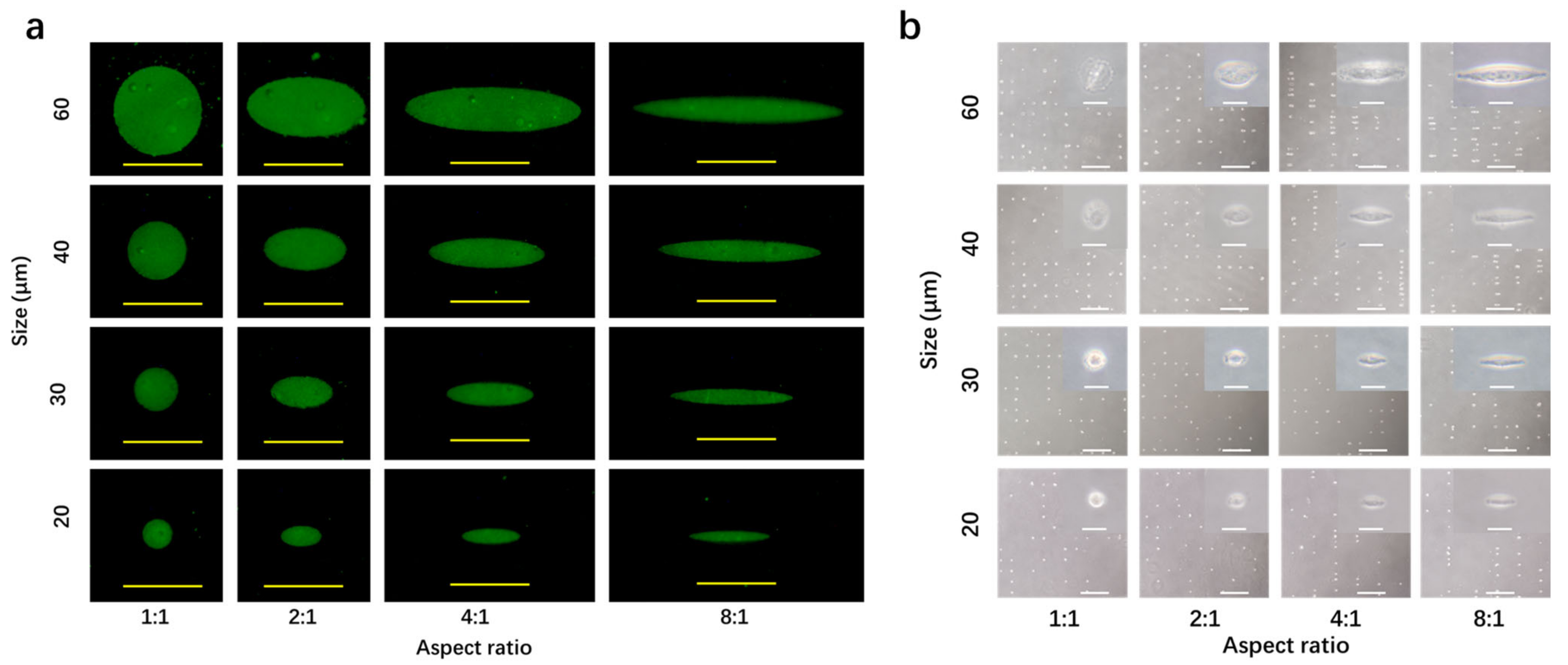 Polymers 14 02761 g003