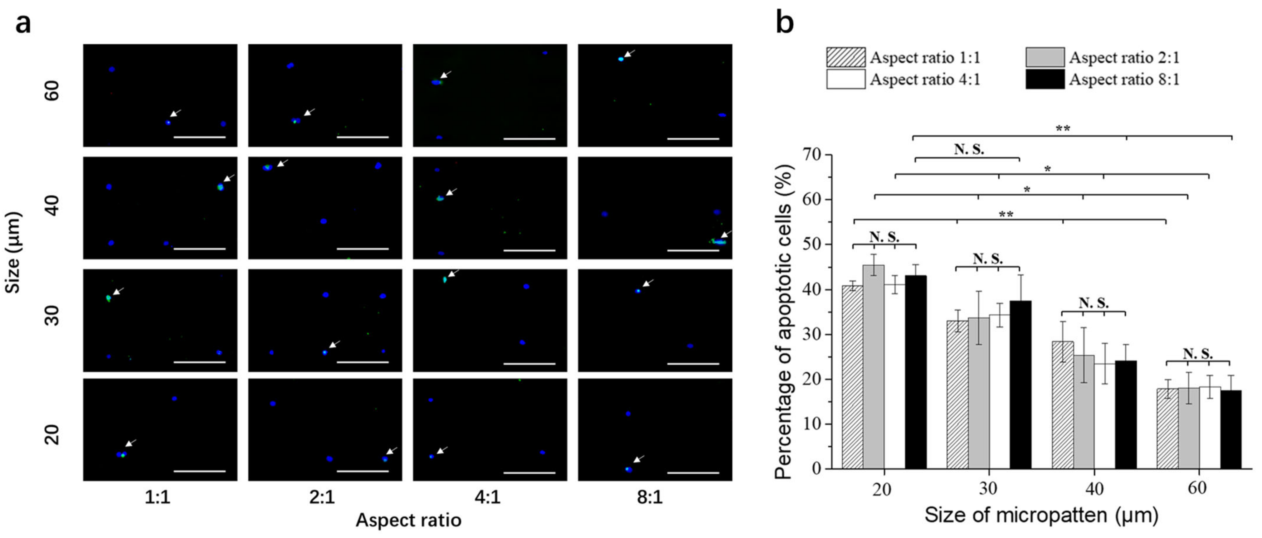 Polymers 14 02761 g004
