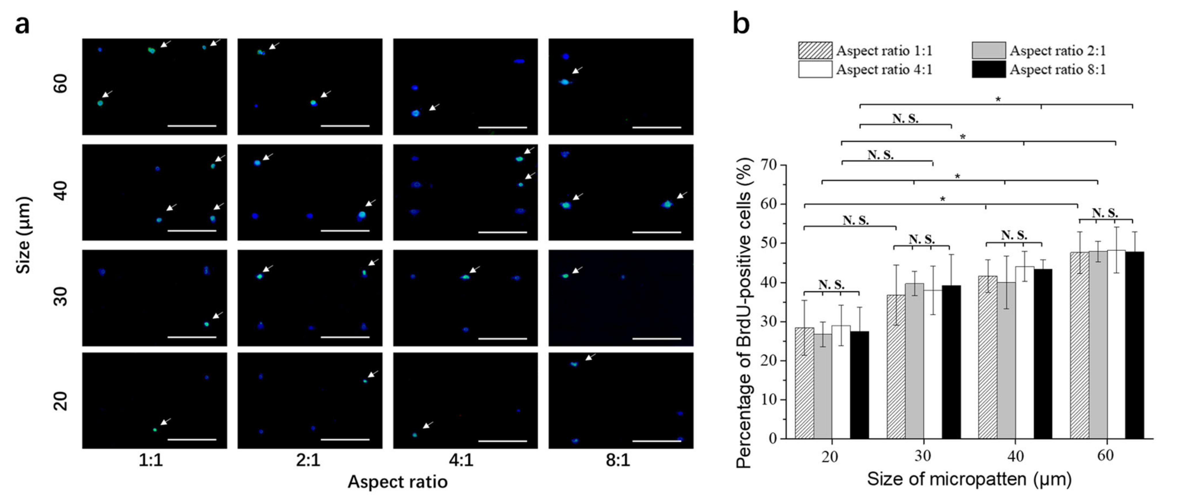 Polymers 14 02761 g006