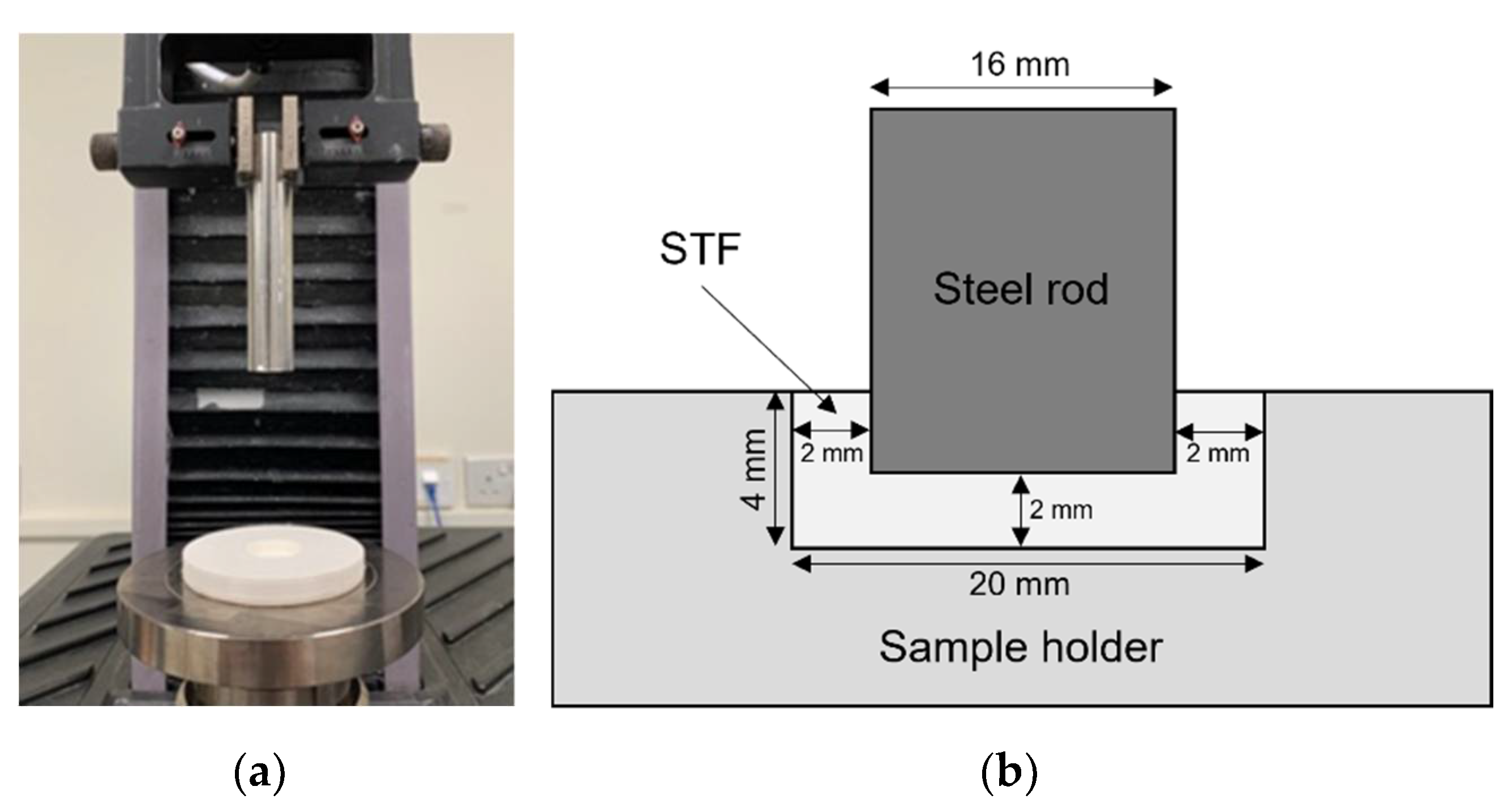 Polymers 14 02768 g001