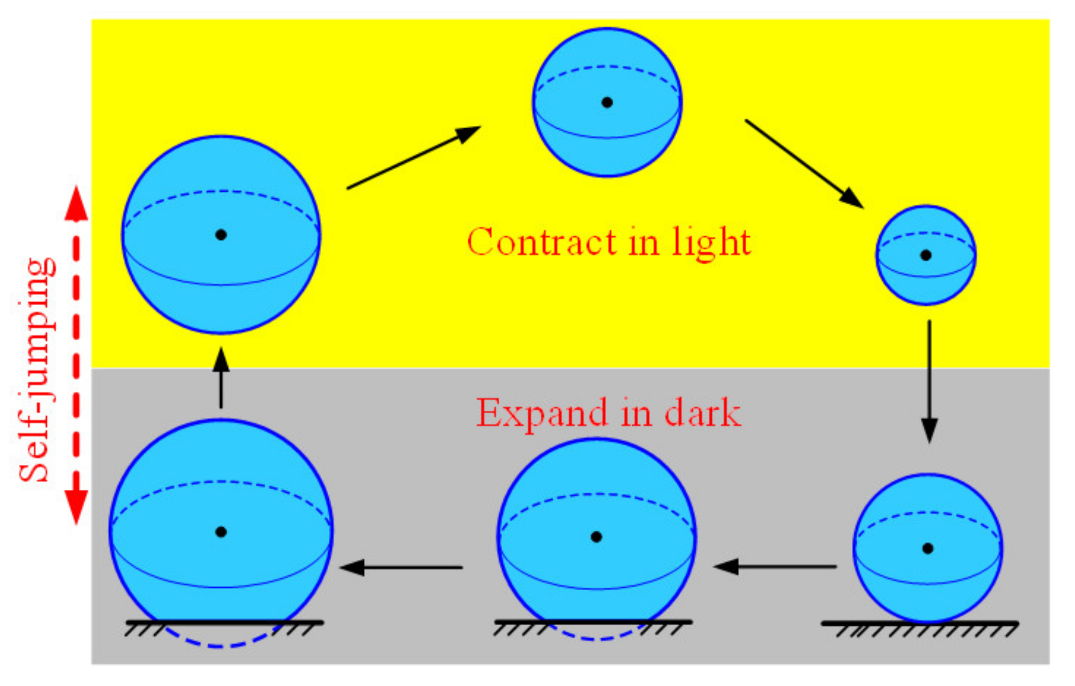Polymers 14 02770 g004