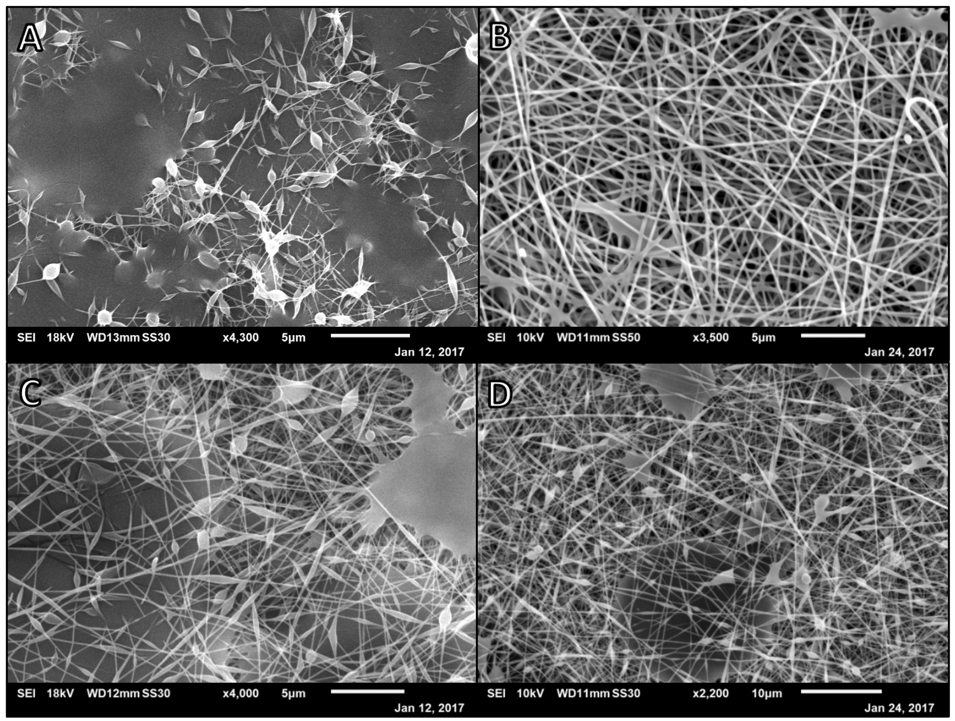 Polymers 14 02773 g002
