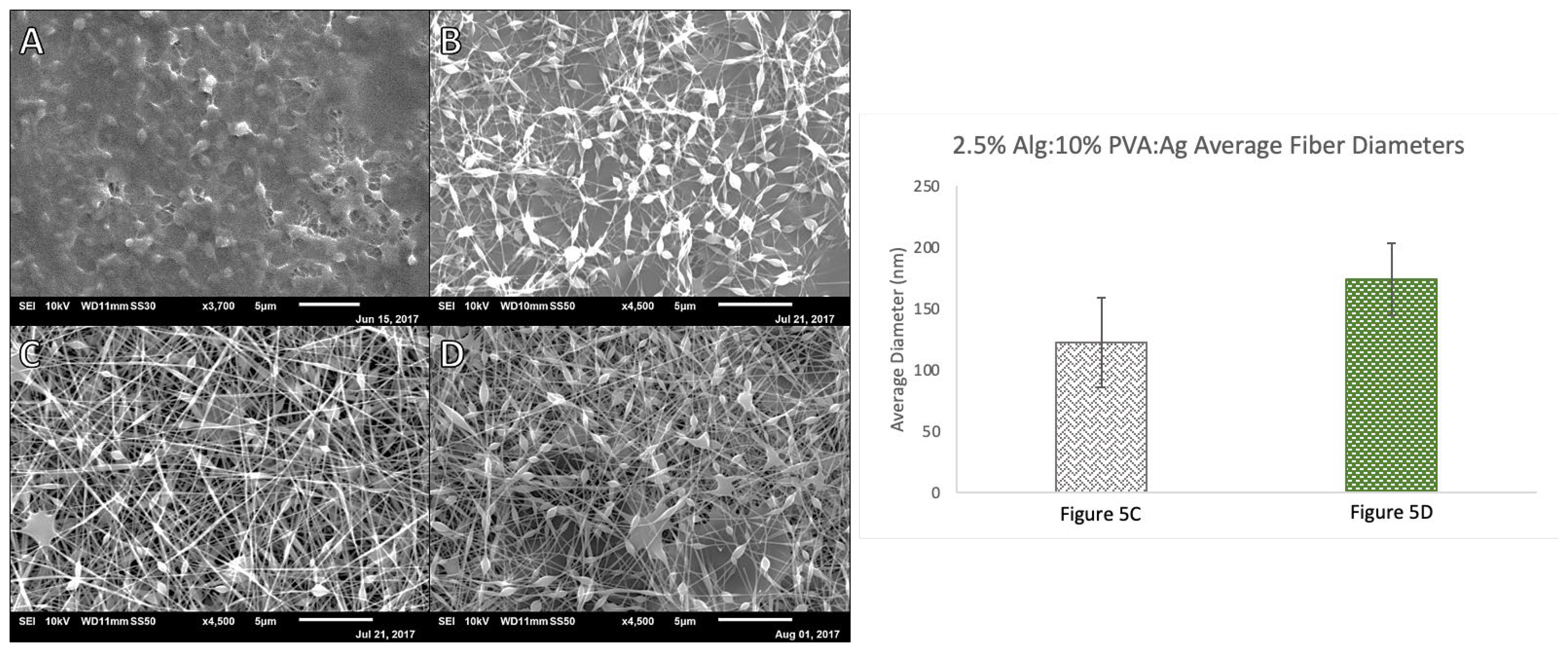 Polymers 14 02773 g005