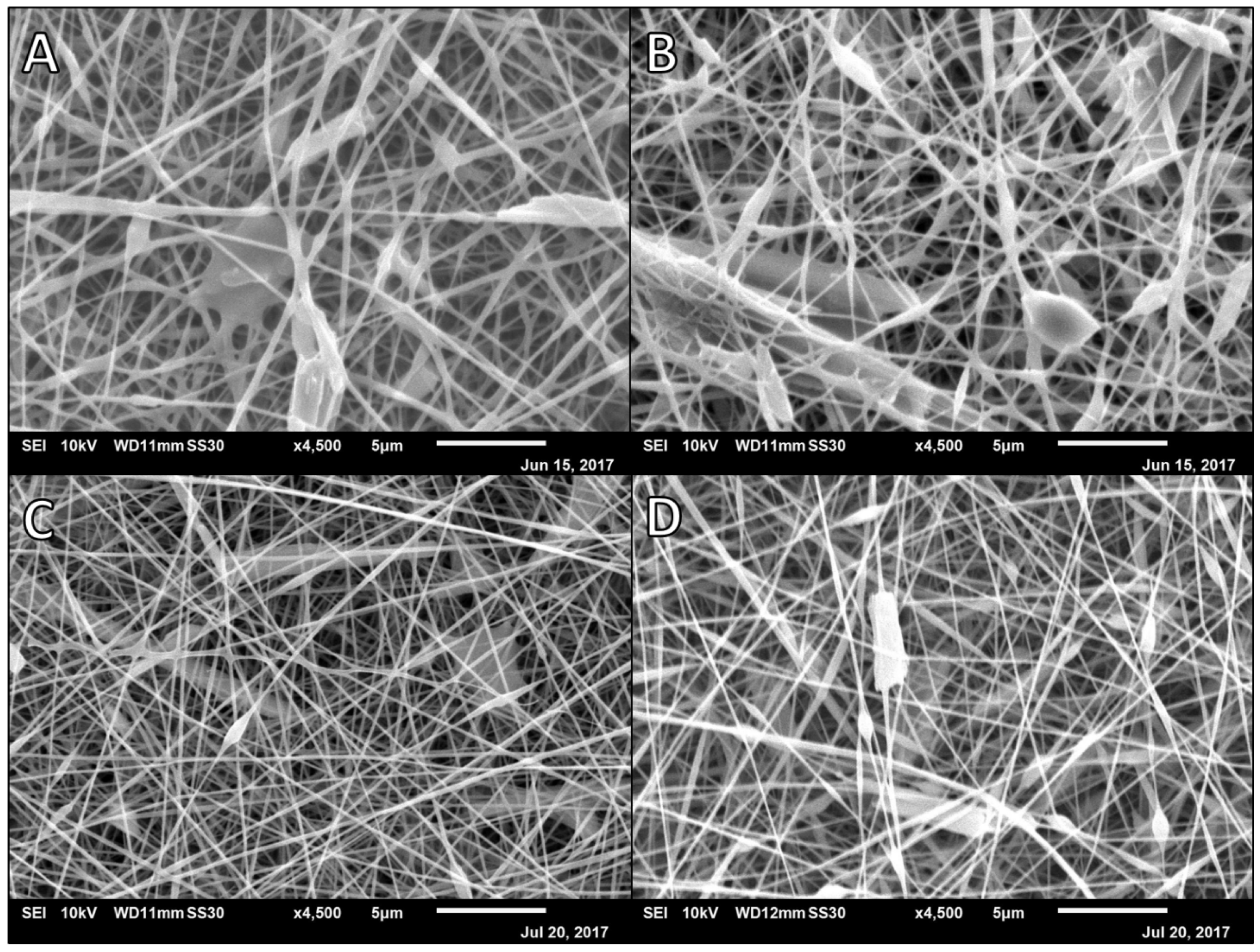Polymers 14 02773 g006