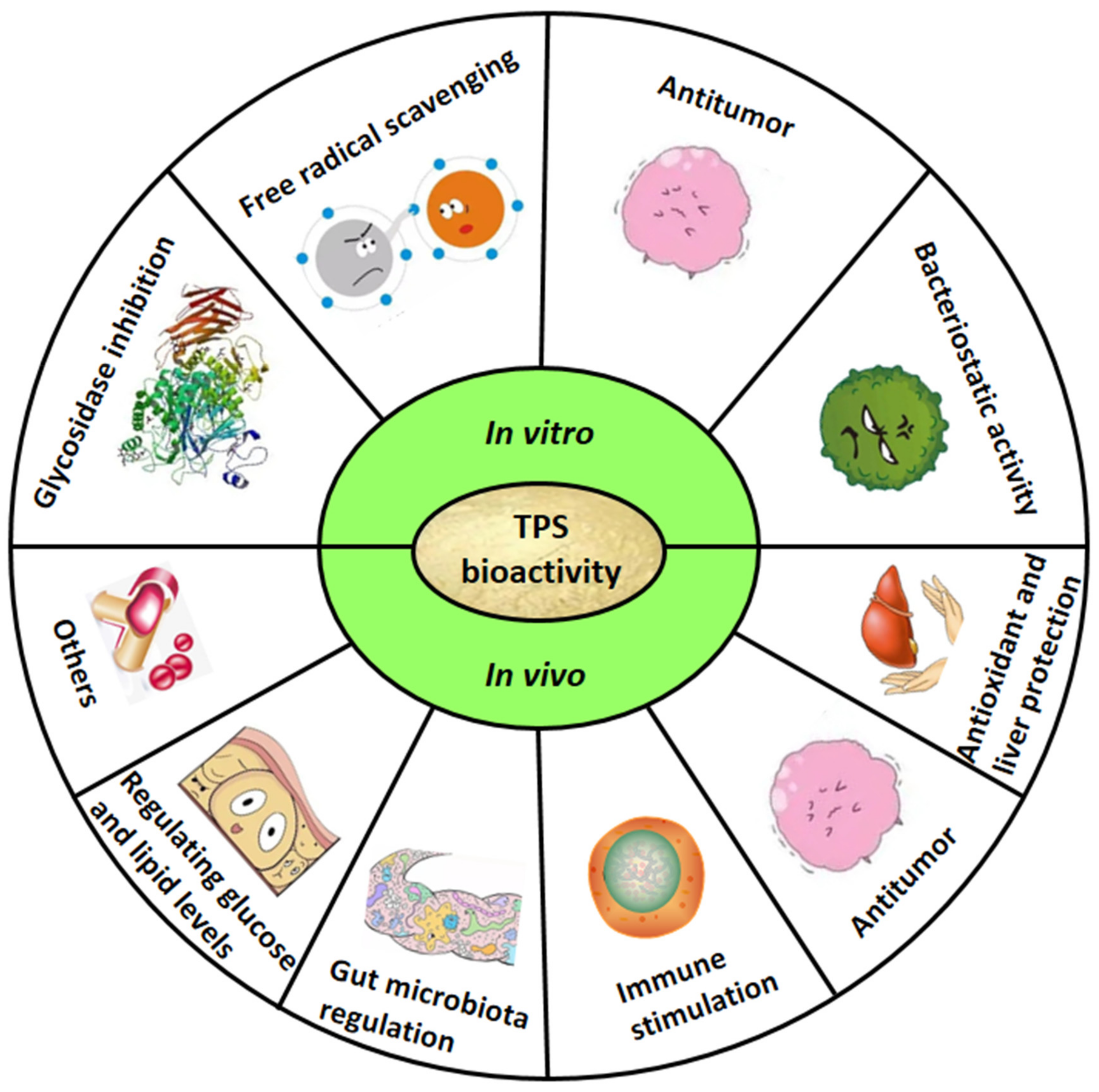 Polymers 14 02775 g002