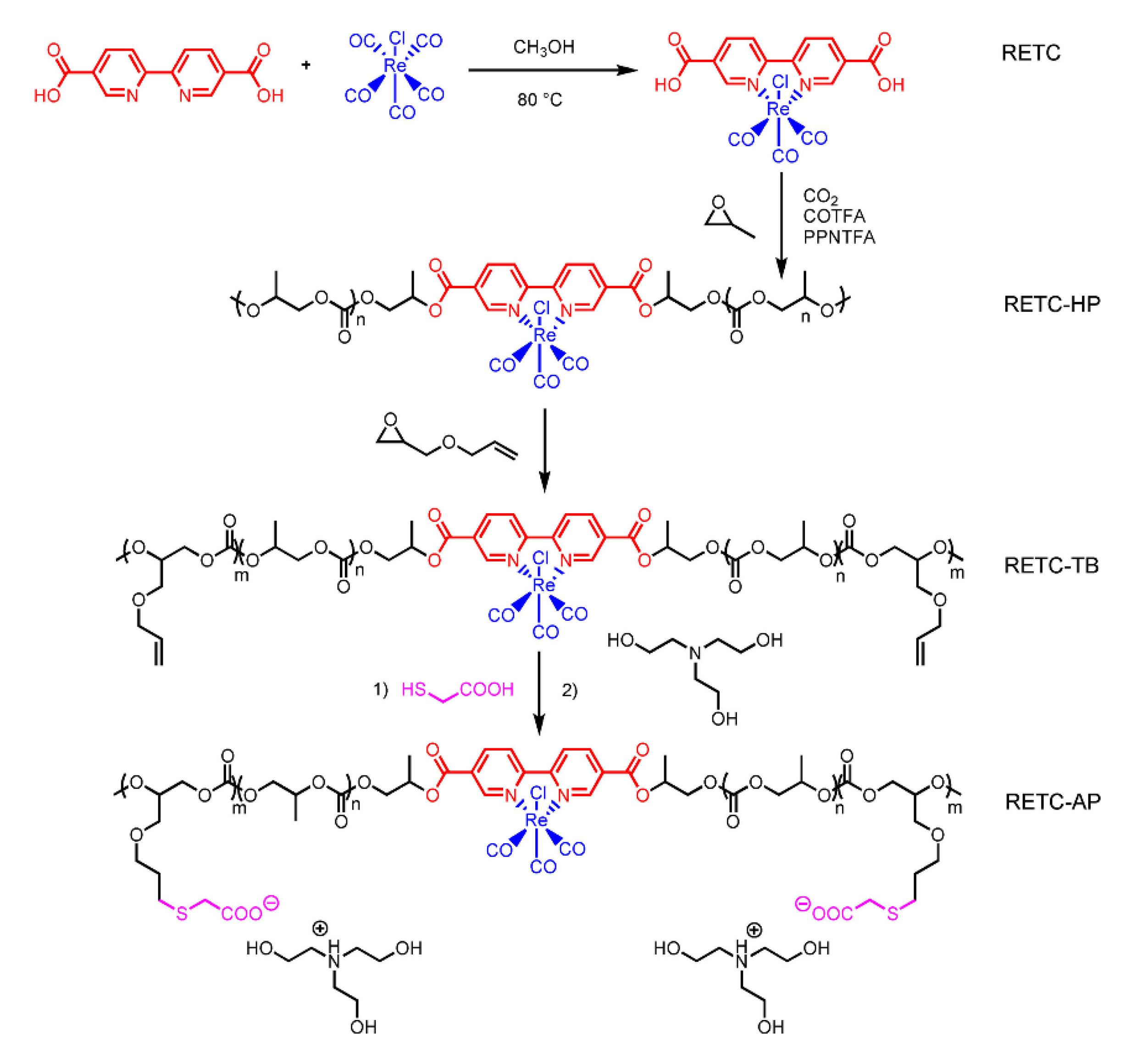 Polymers 14 02778 g002