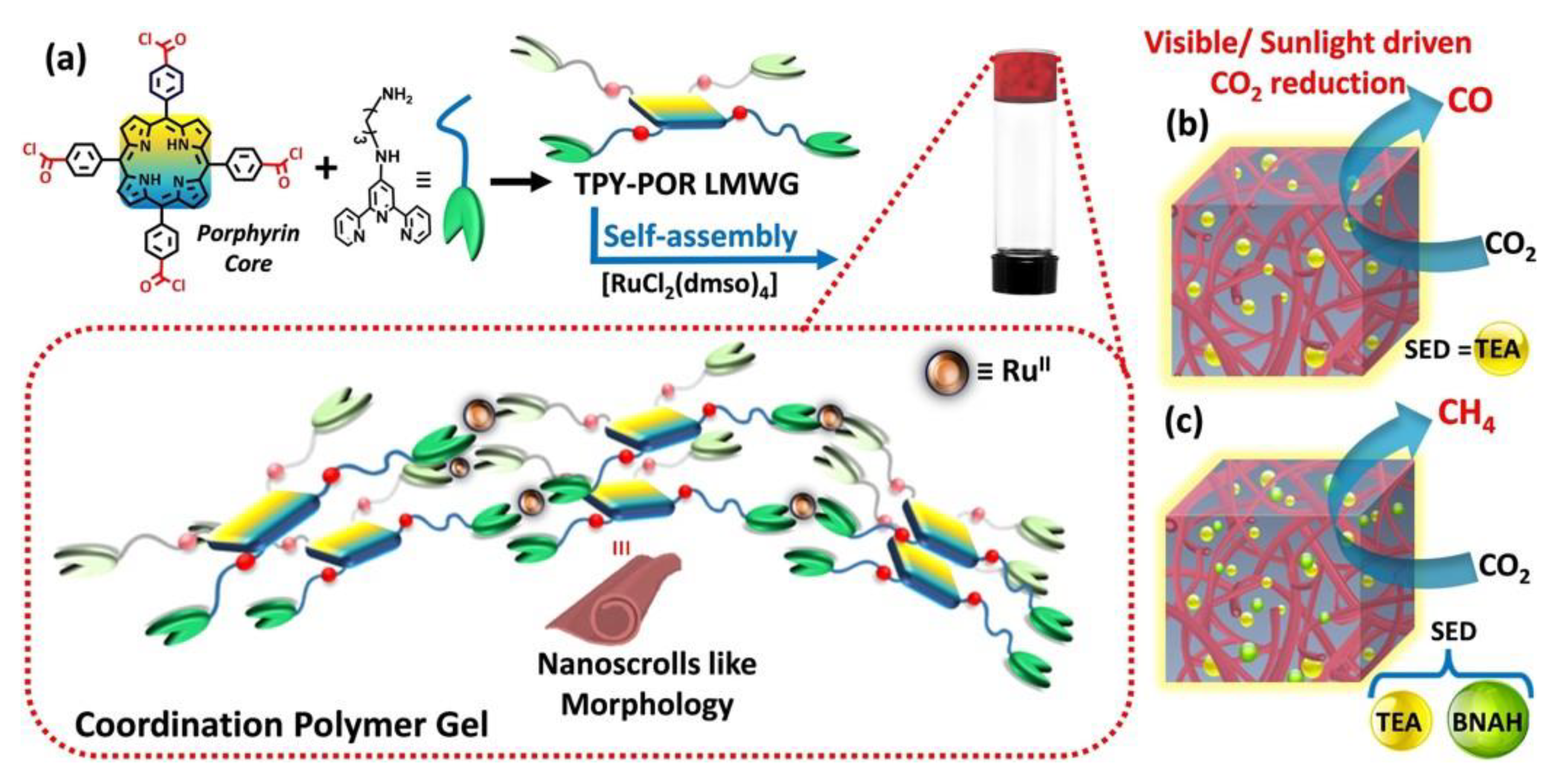 Polymers 14 02778 g006