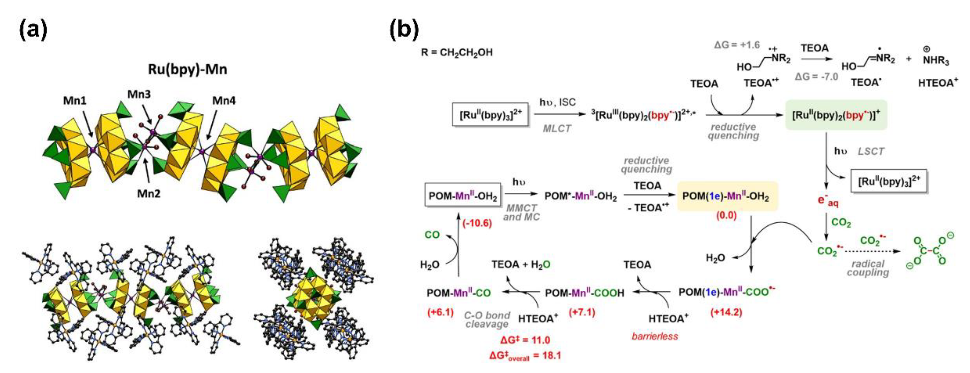 Polymers 14 02778 g007