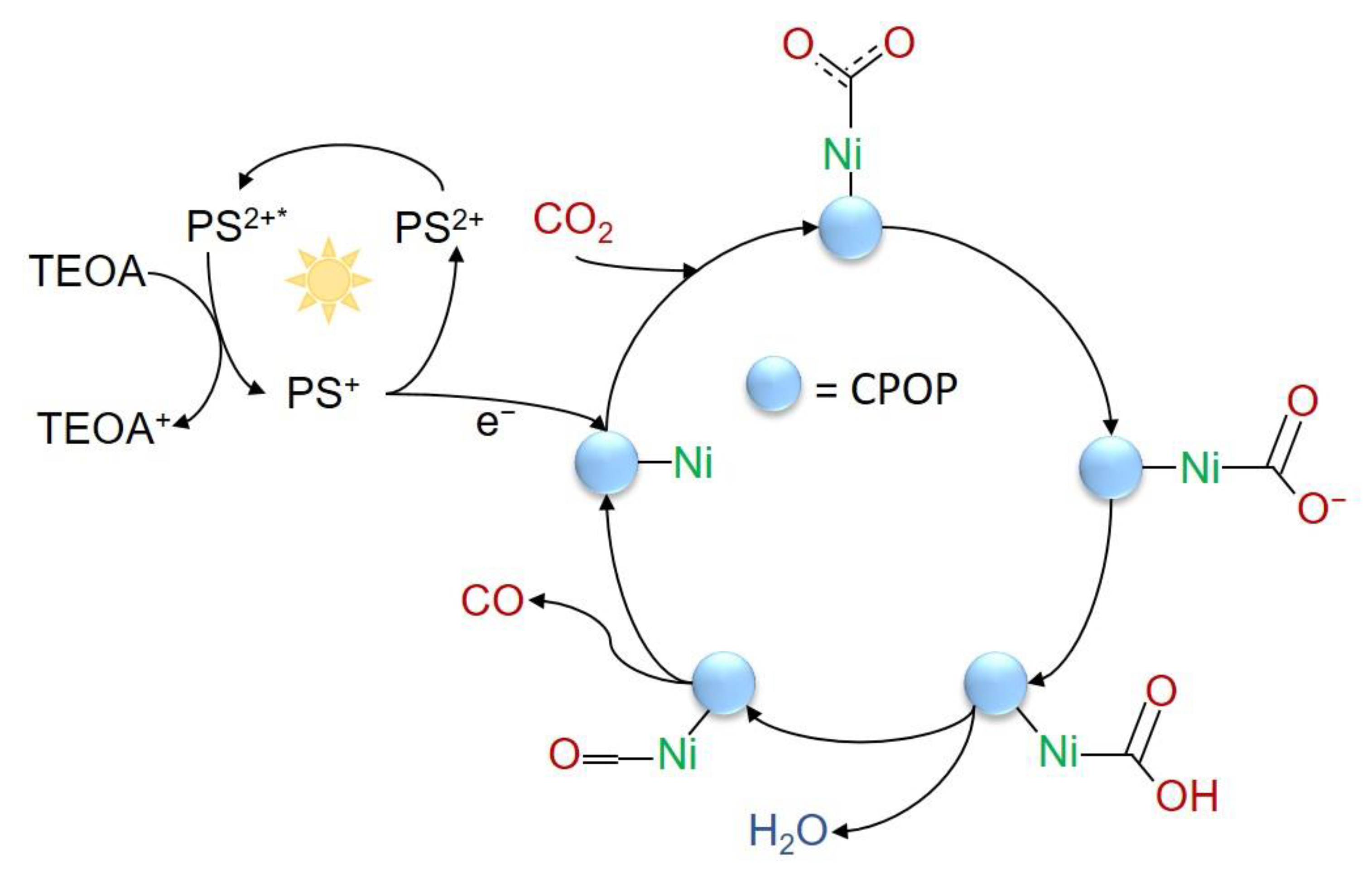 Polymers 14 02778 g011