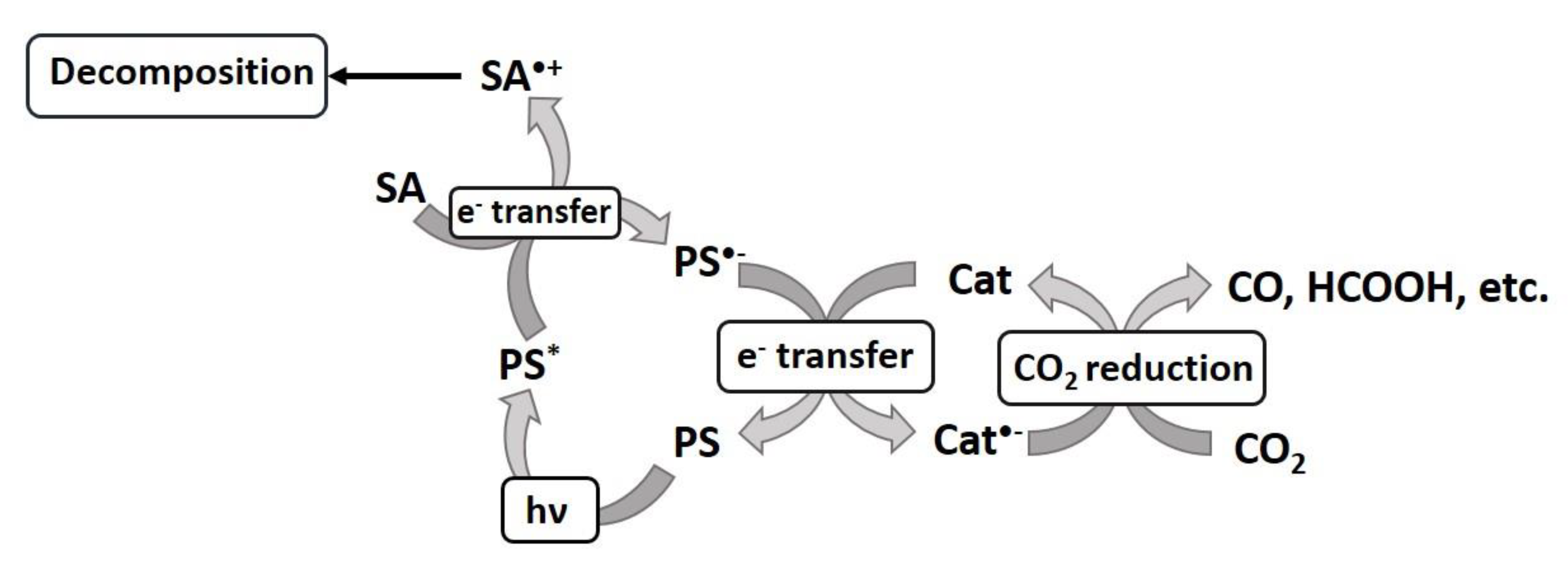 Polymers 14 02778 sch001
