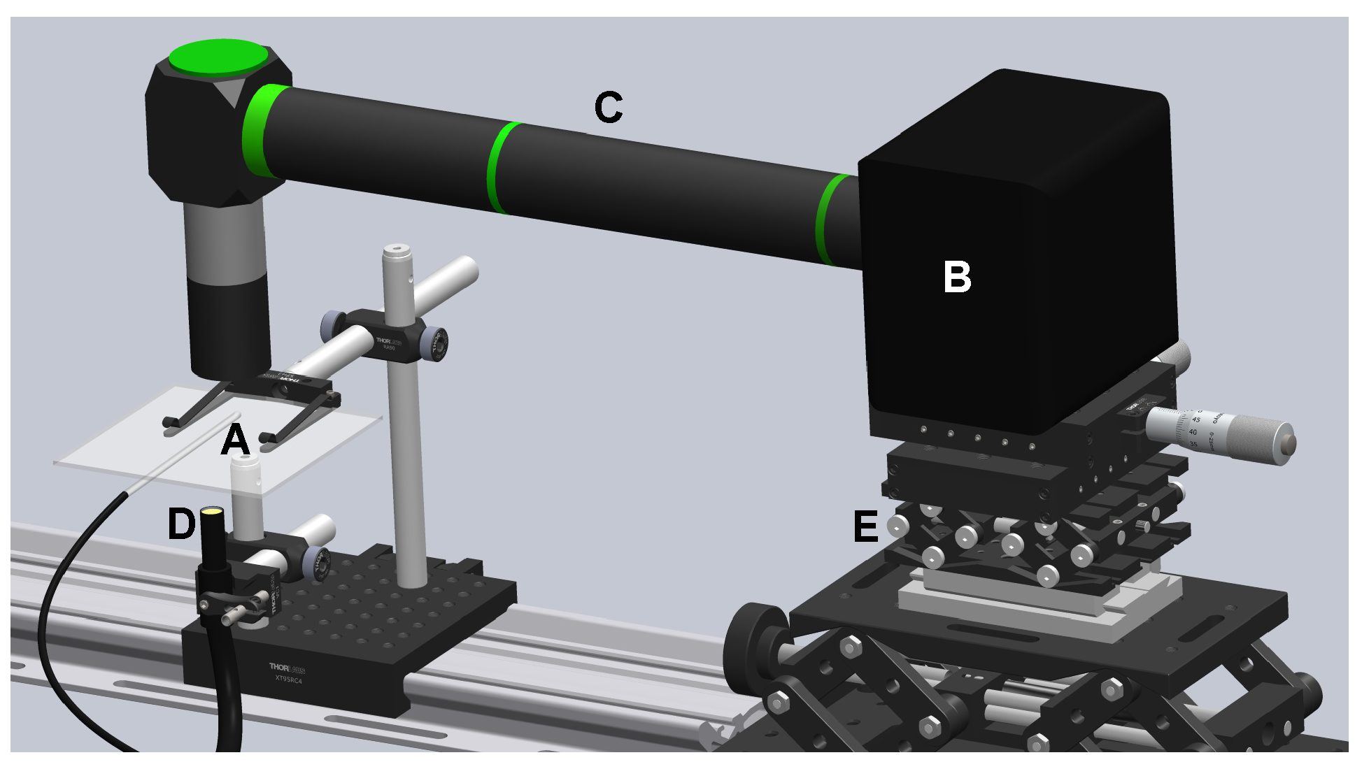 Polymers 14 02784 g001