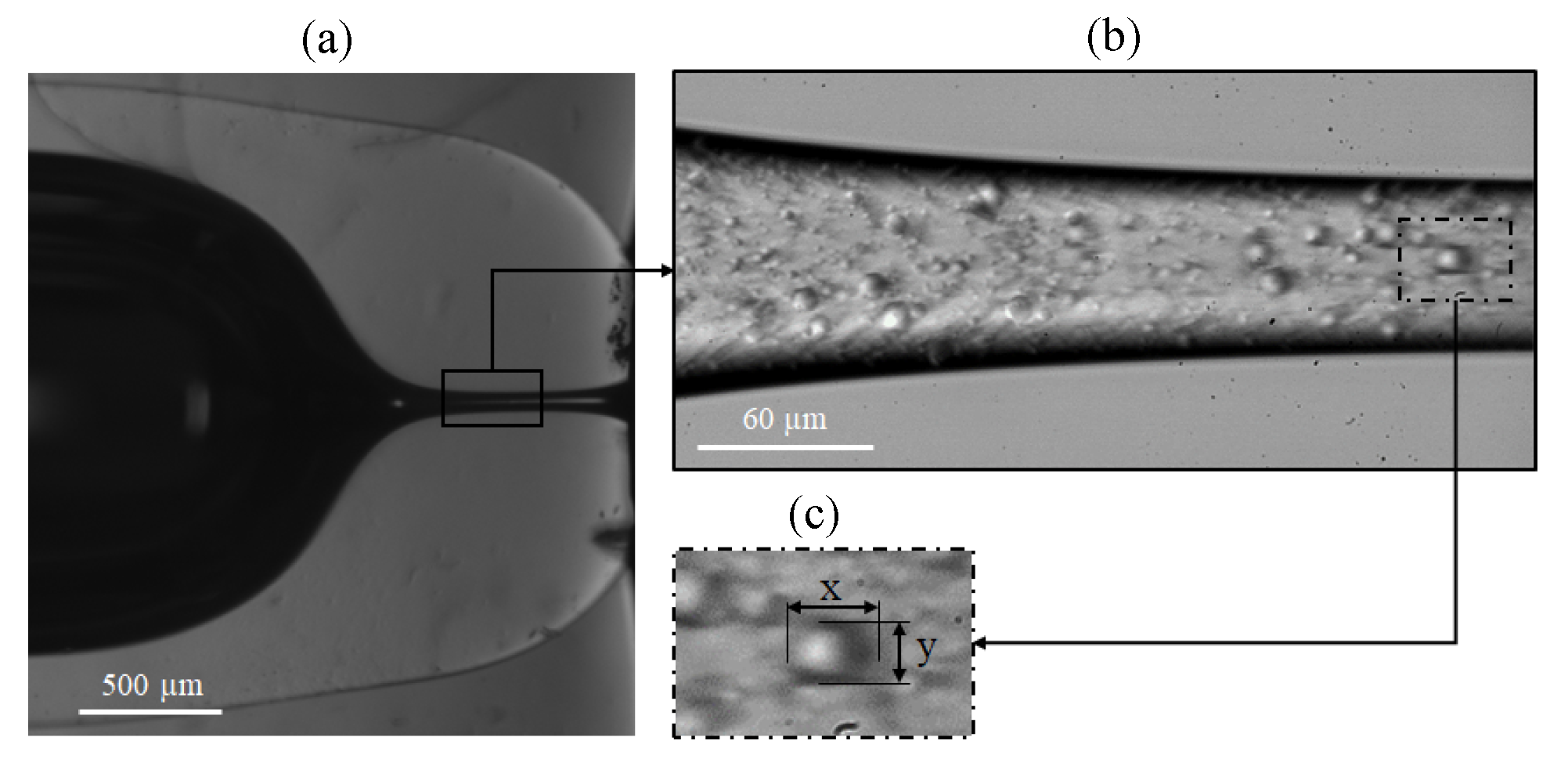 Polymers 14 02784 g002