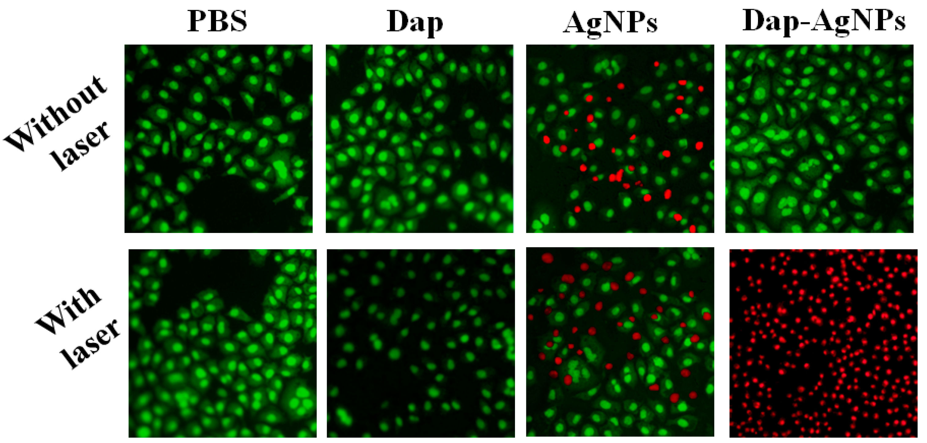 Polymers 14 02787 g007 550
