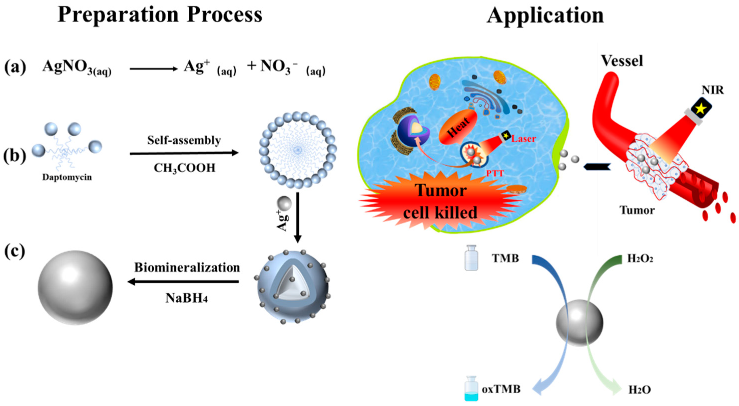 Polymers 14 02787 sch001 550