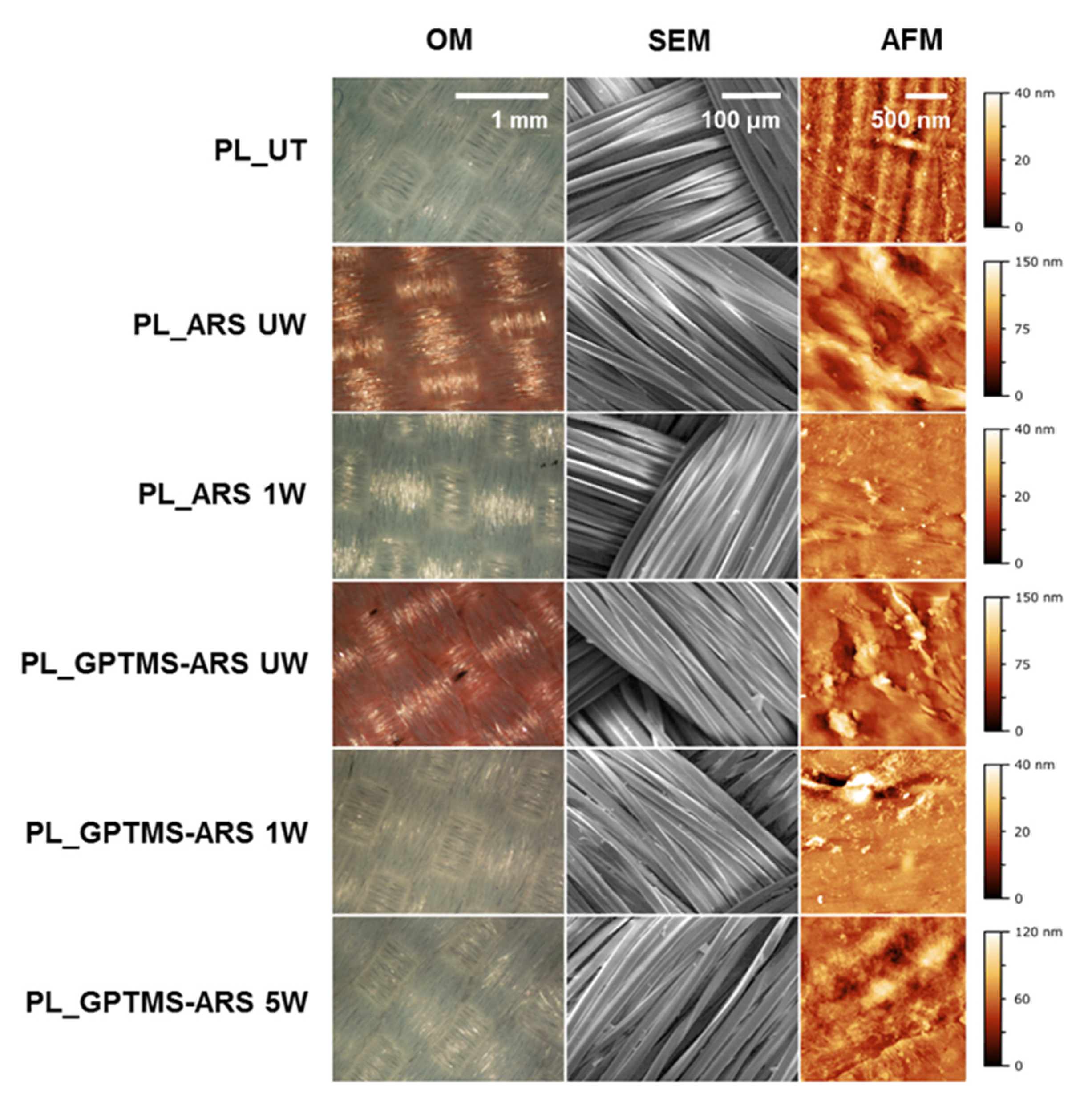 Polymers 14 02788 g003 550