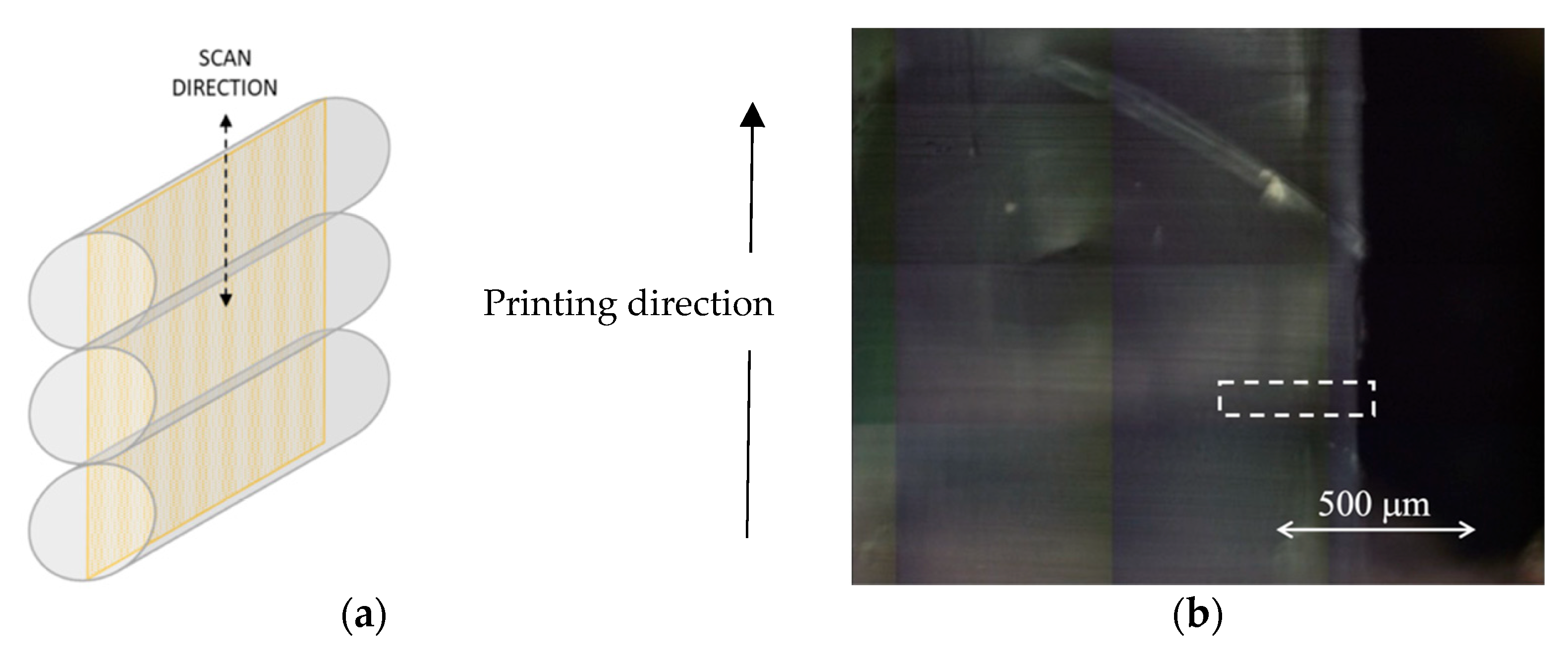 Polymers 14 02792 g005