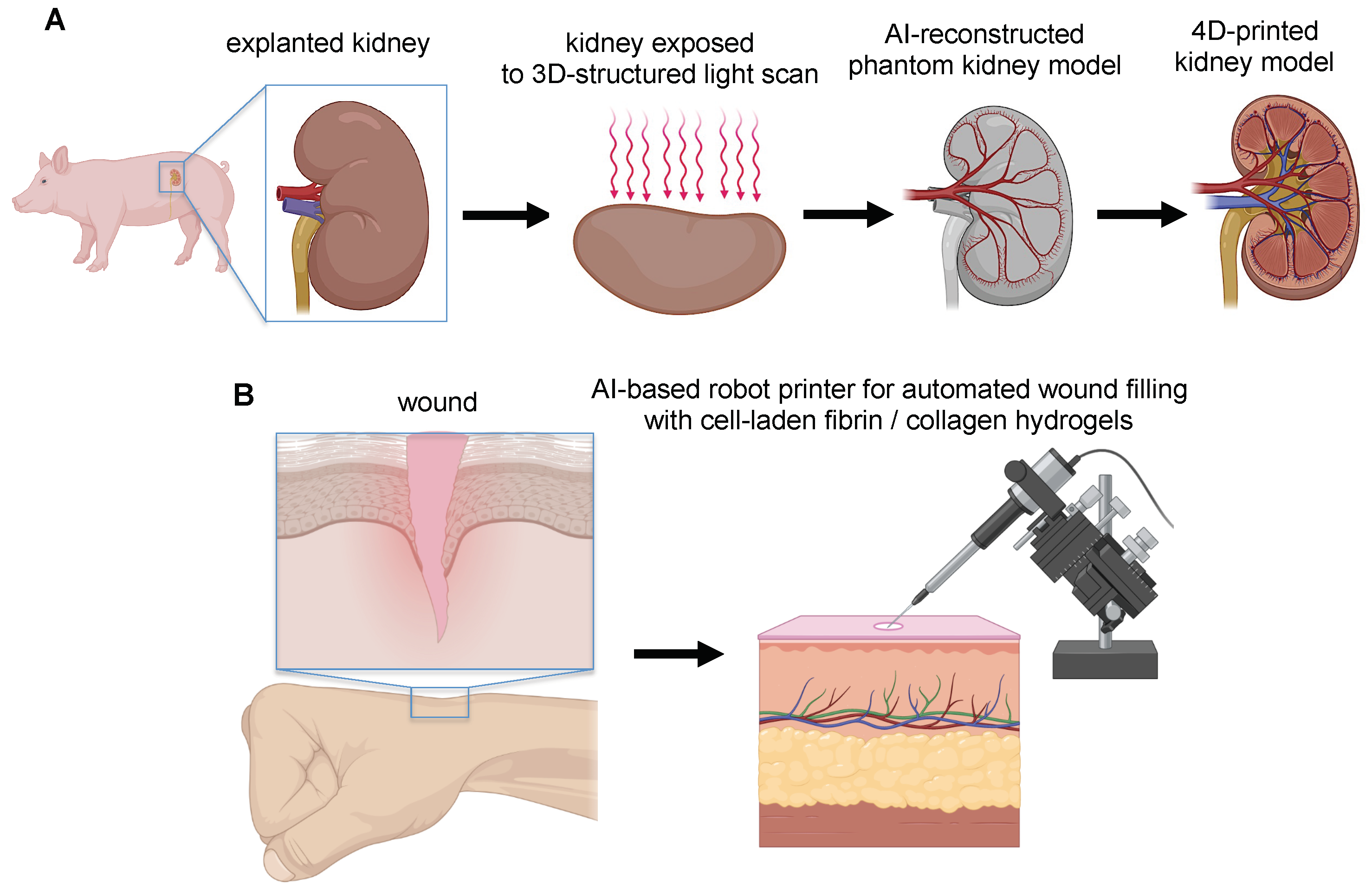 Polymers 14 02794 g005
