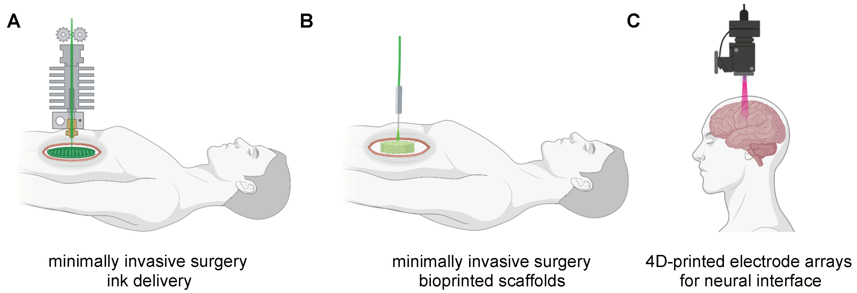 Polymers 14 02794 g006